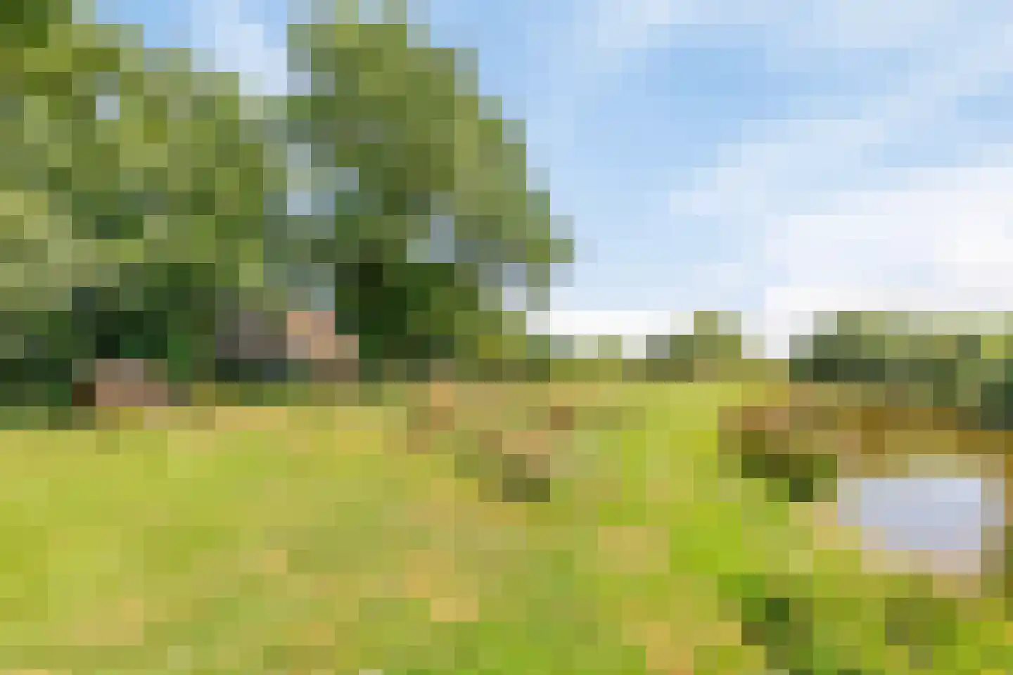 Riegshoogtendijk 176 Hollandscheveld thumbnail 51