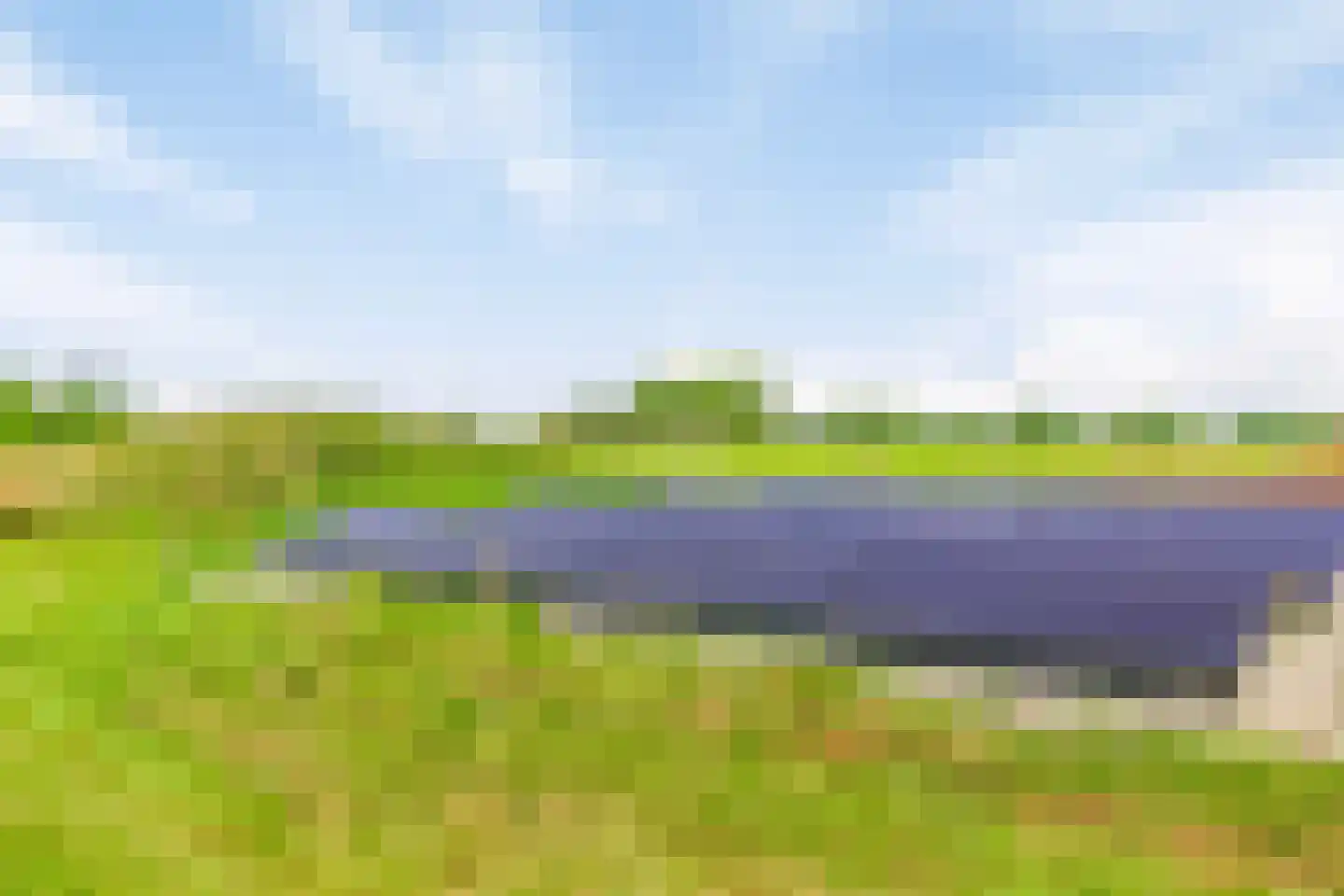 Riegshoogtendijk 176 Hollandscheveld thumbnail 53