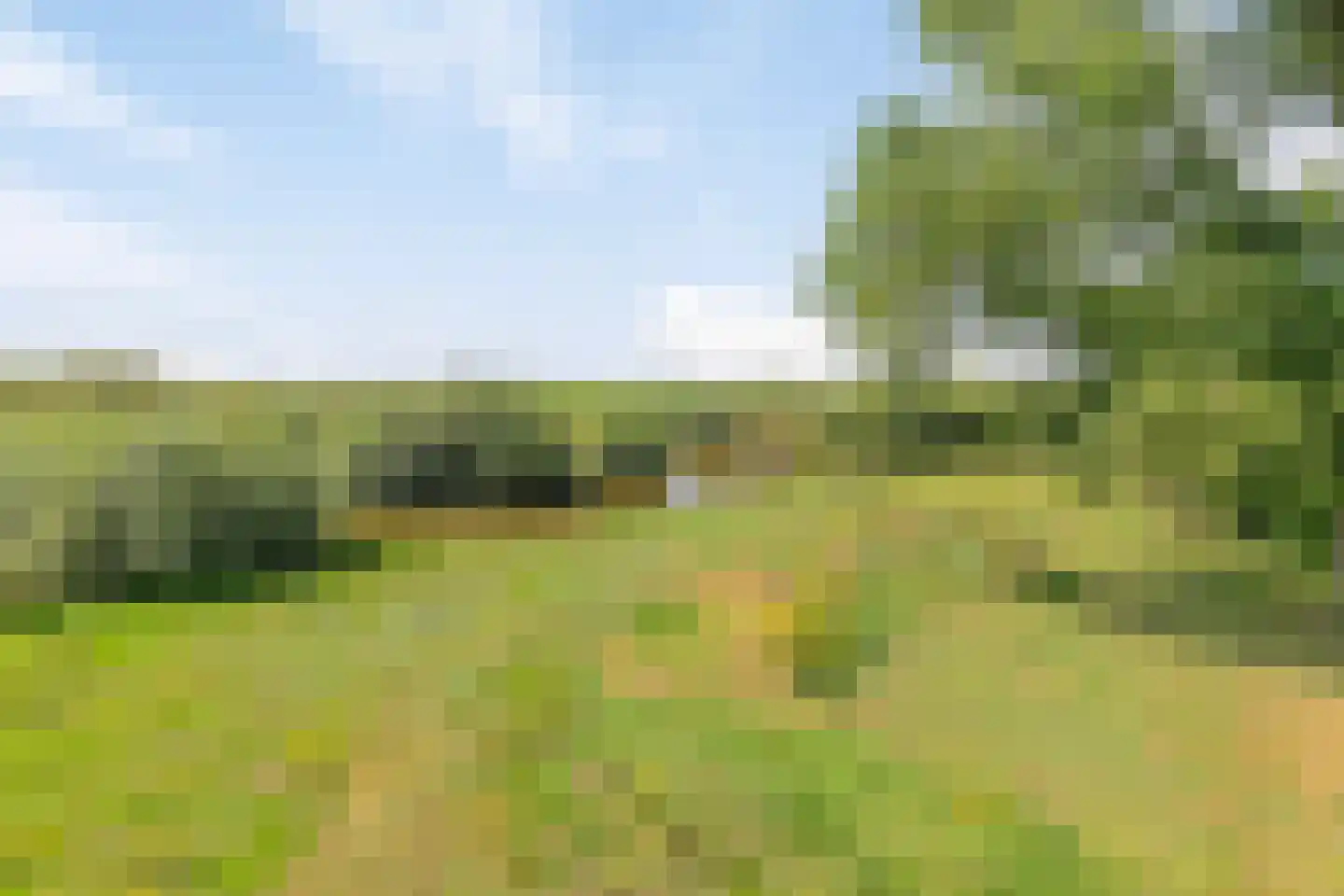 Riegshoogtendijk 176 Hollandscheveld thumbnail 54