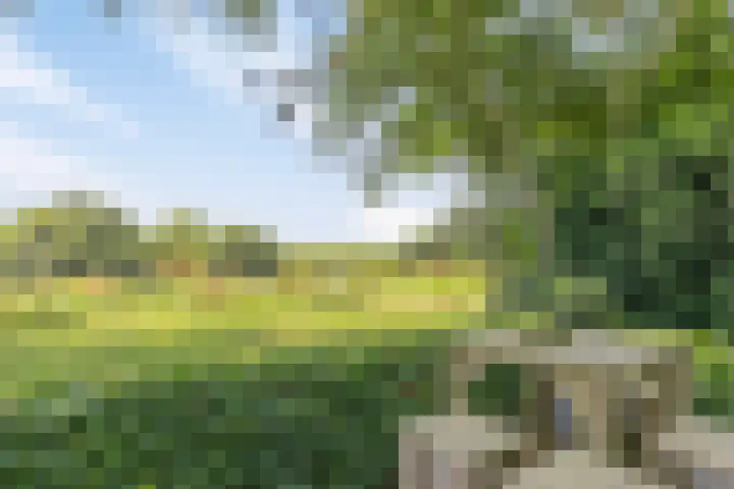 Riegshoogtendijk 176 Hollandscheveld thumbnail 55