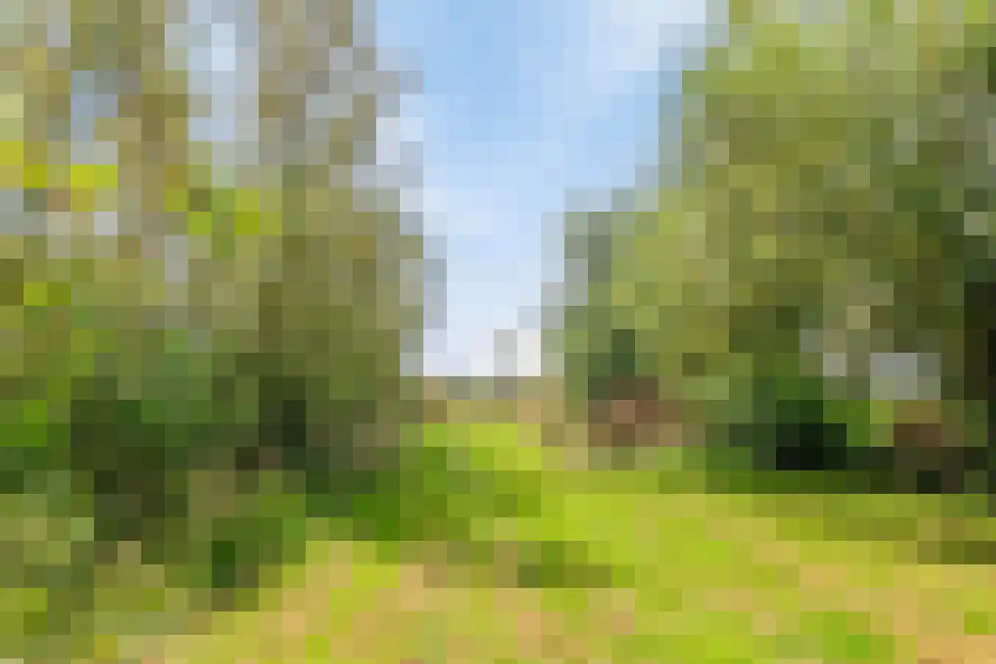 Riegshoogtendijk 176 Hollandscheveld thumbnail 56