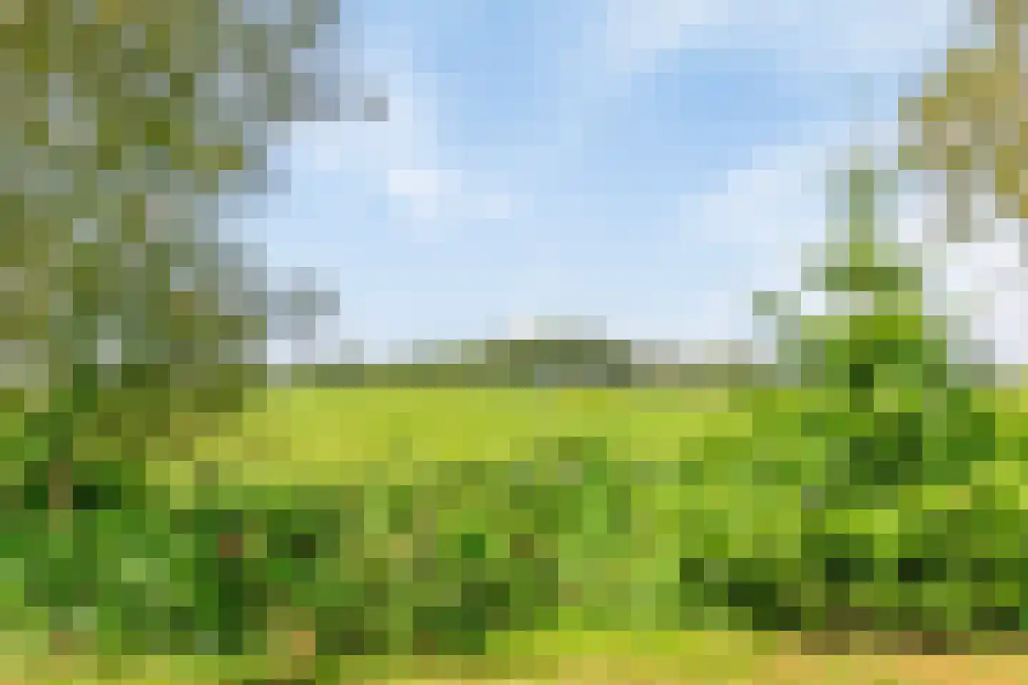Riegshoogtendijk 176 Hollandscheveld thumbnail 57