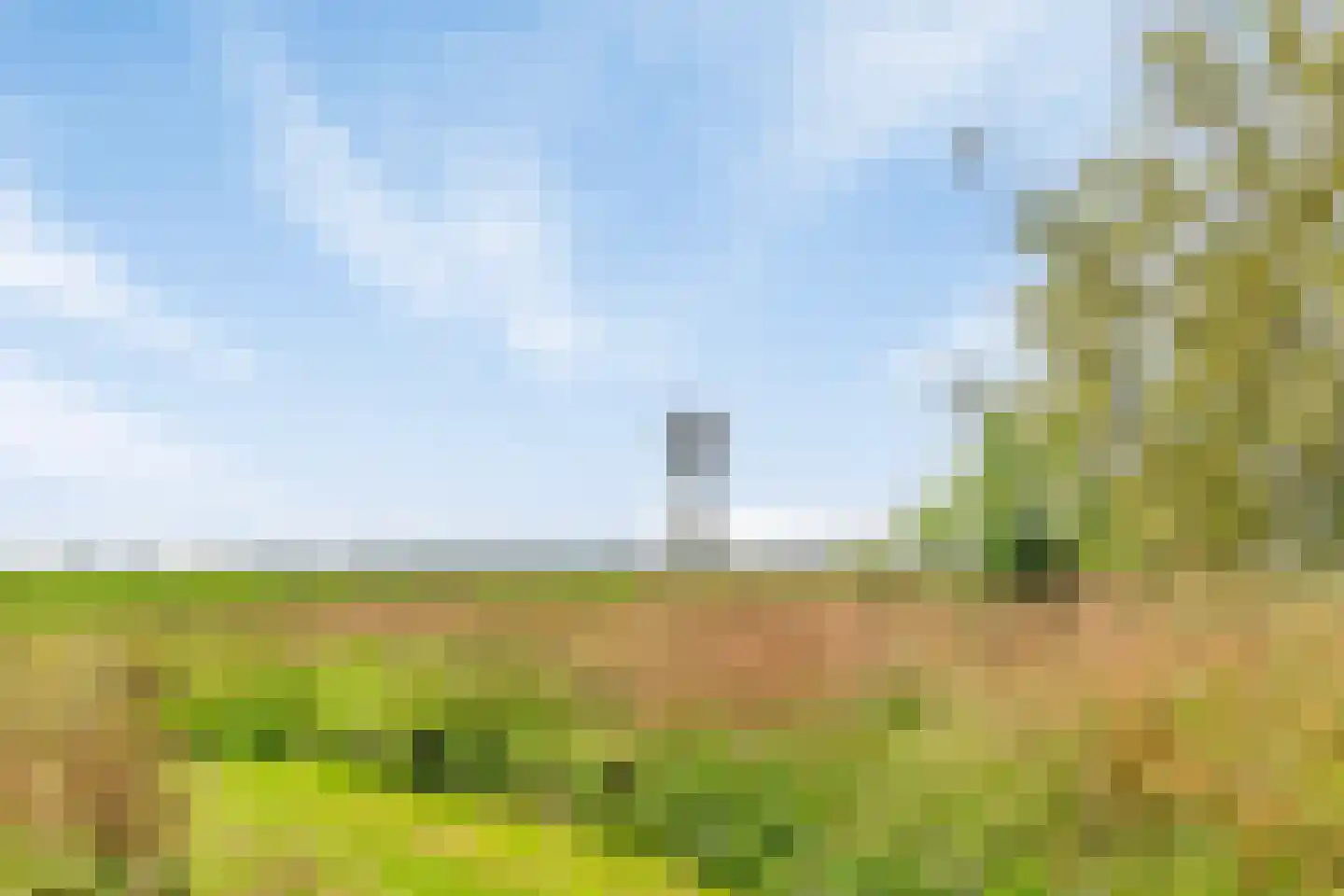 Riegshoogtendijk 176 Hollandscheveld thumbnail 58