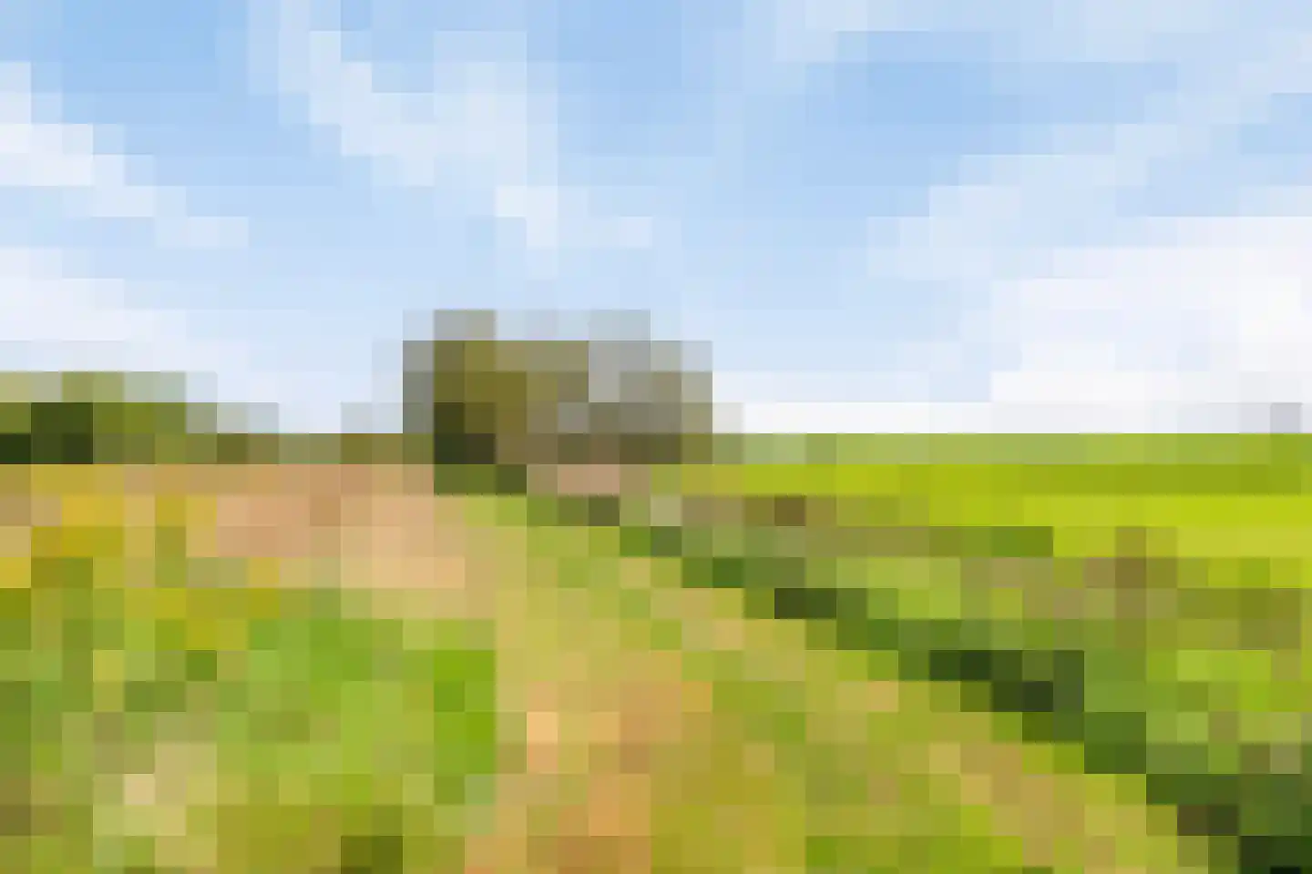 Riegshoogtendijk 176 Hollandscheveld thumbnail 59