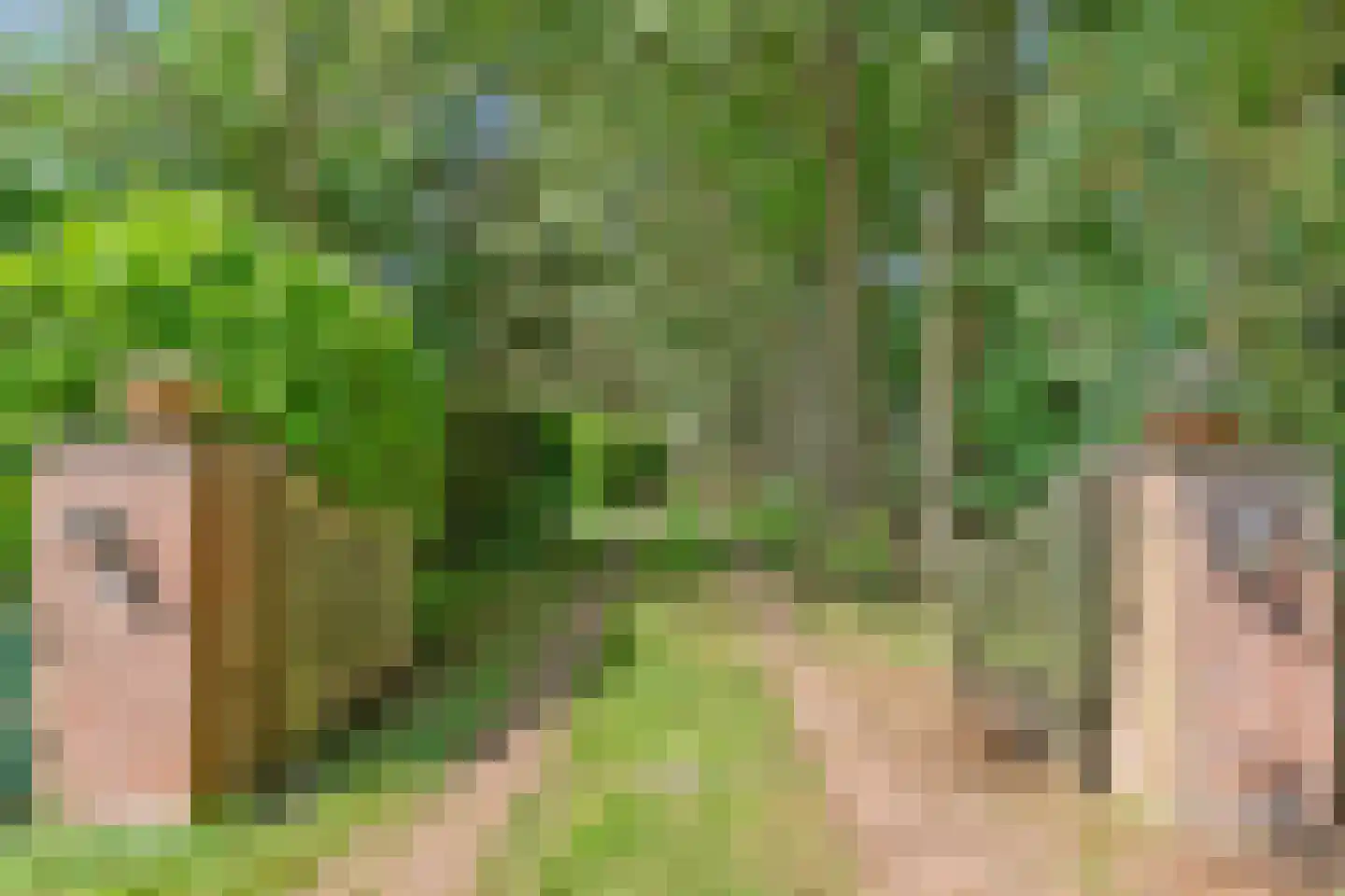 Riegshoogtendijk 176 Hollandscheveld thumbnail 6