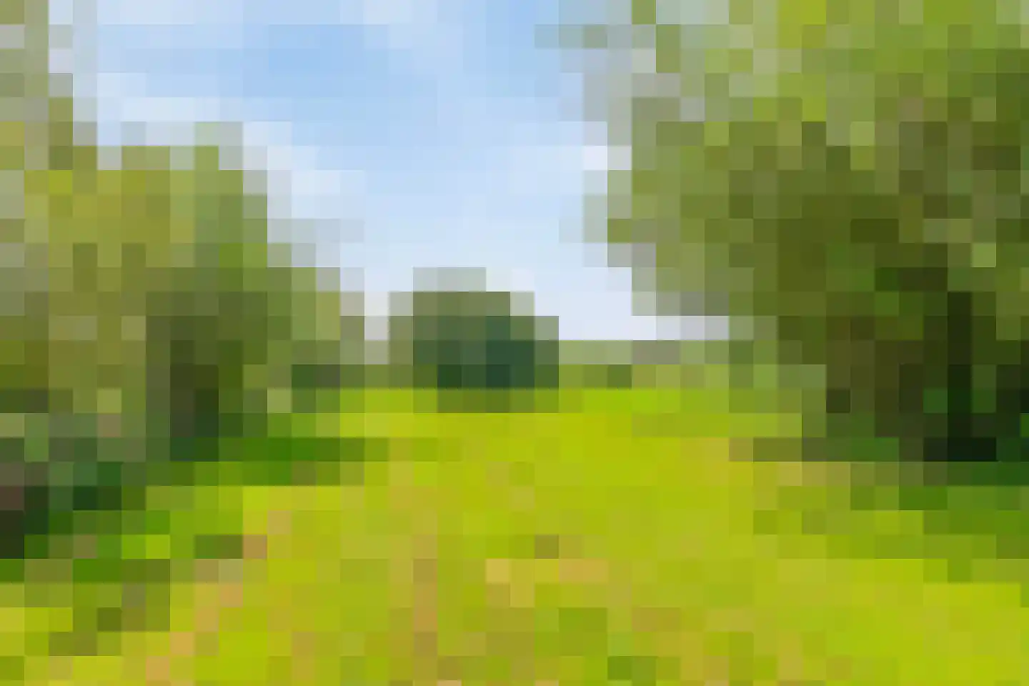Riegshoogtendijk 176 Hollandscheveld thumbnail 62