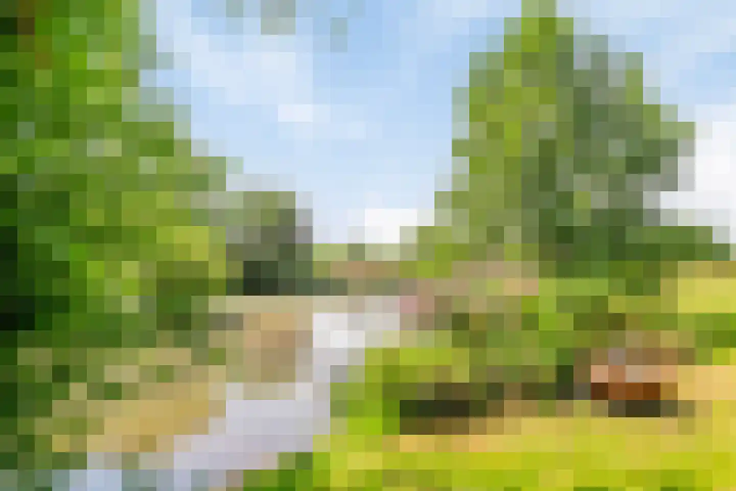 Riegshoogtendijk 176 Hollandscheveld thumbnail 63
