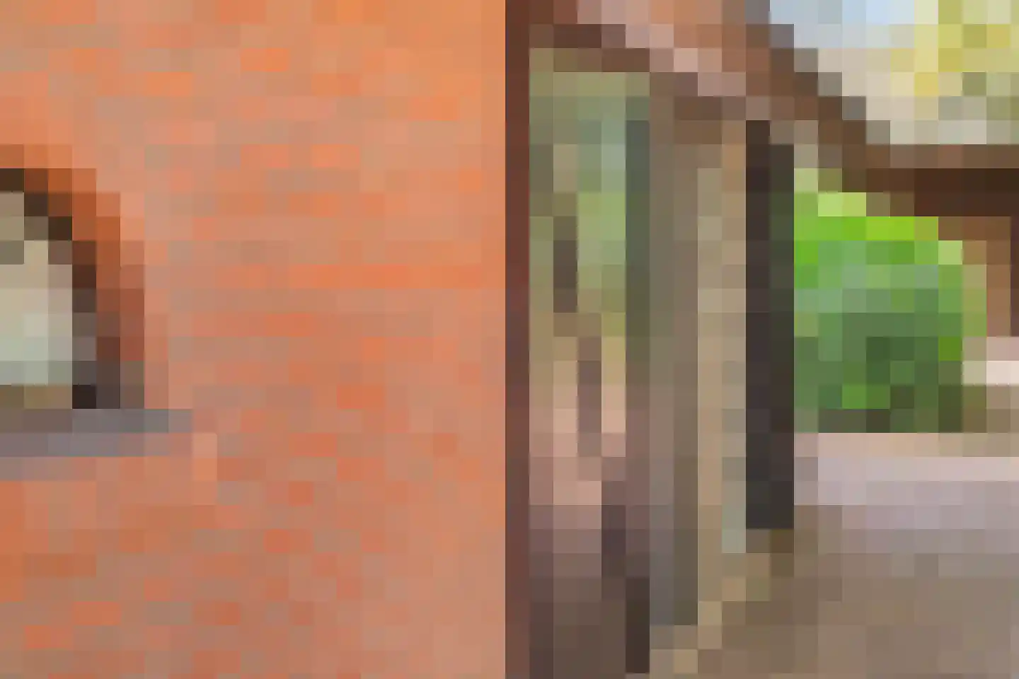 Riegshoogtendijk 176 Hollandscheveld thumbnail 65