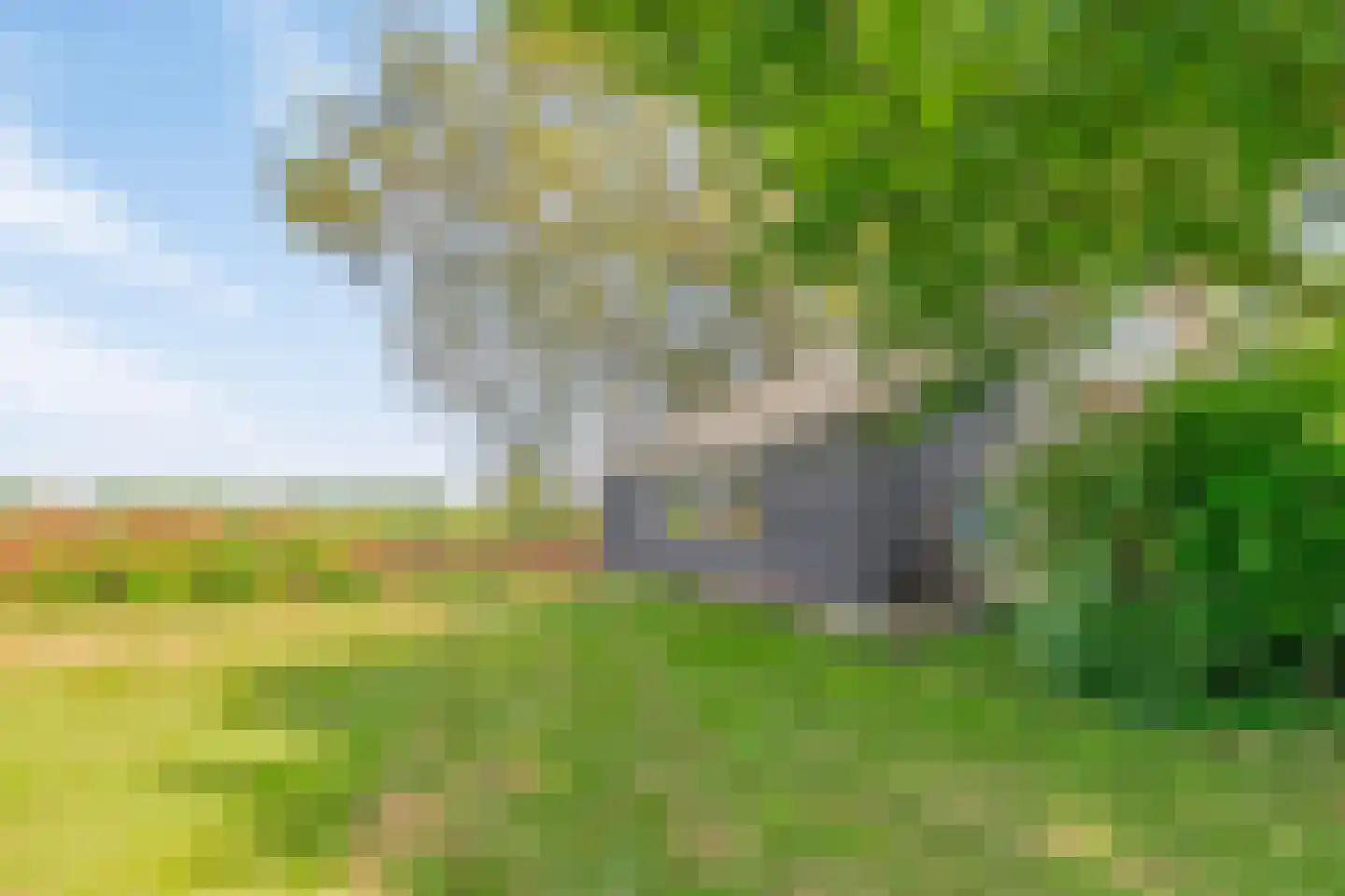 Riegshoogtendijk 176 Hollandscheveld thumbnail 66