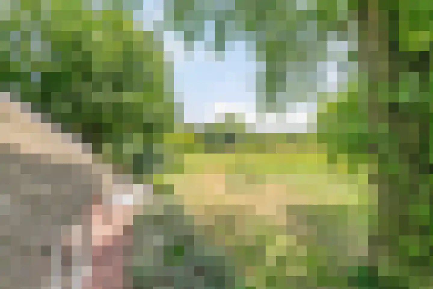 Riegshoogtendijk 176 Hollandscheveld thumbnail 67