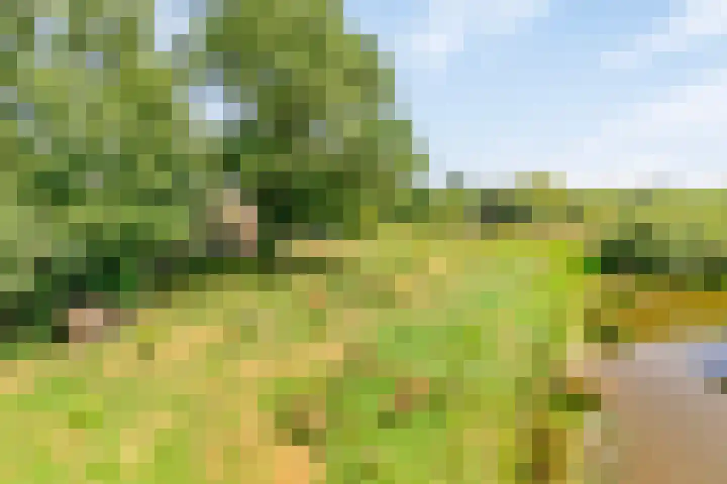 Riegshoogtendijk 176 Hollandscheveld thumbnail 68