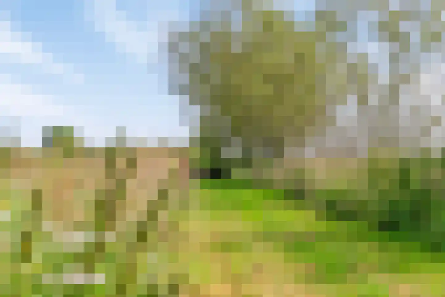 Riegshoogtendijk 176 Hollandscheveld thumbnail 69