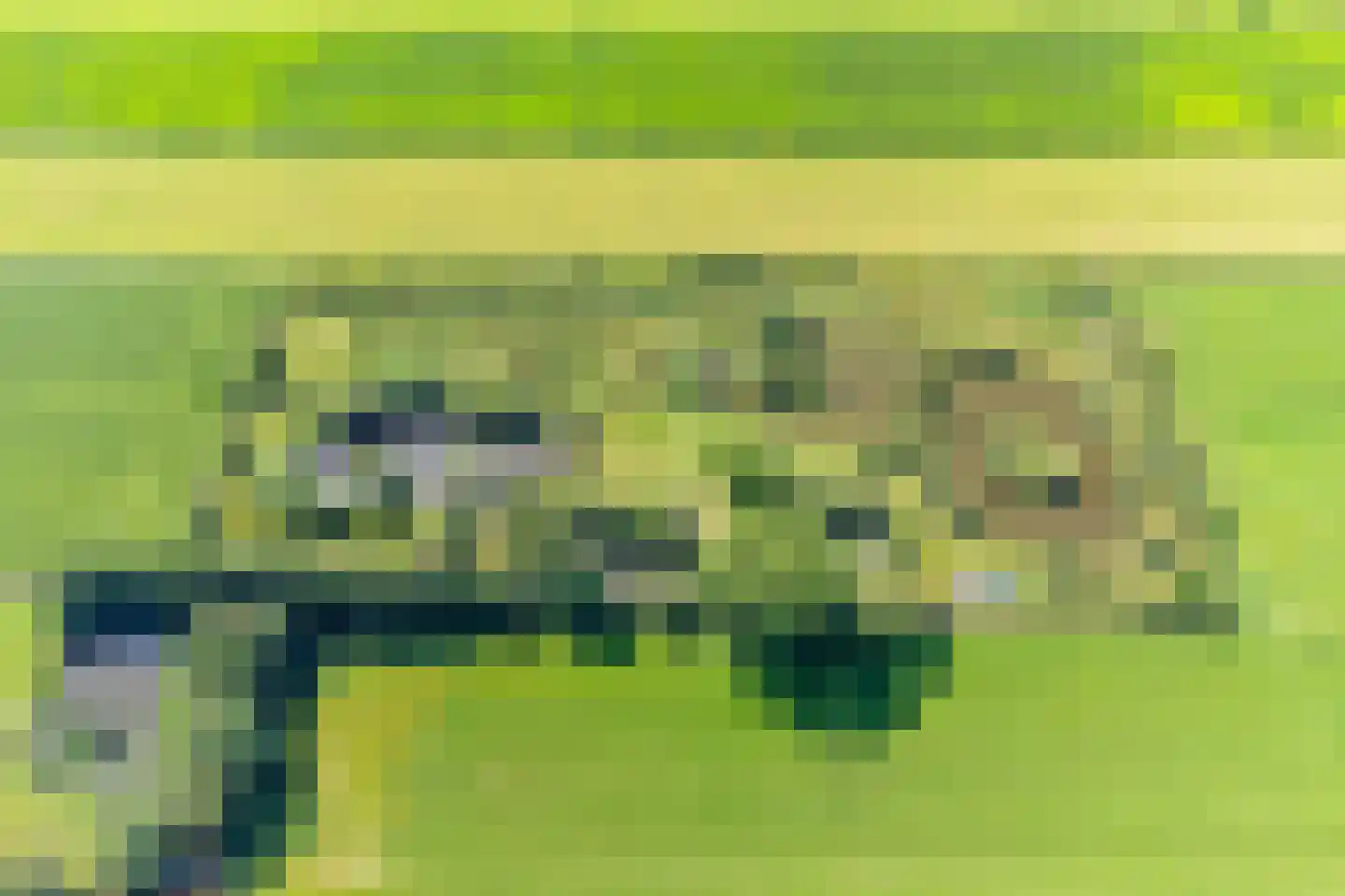 Riegshoogtendijk 176 Hollandscheveld thumbnail 7