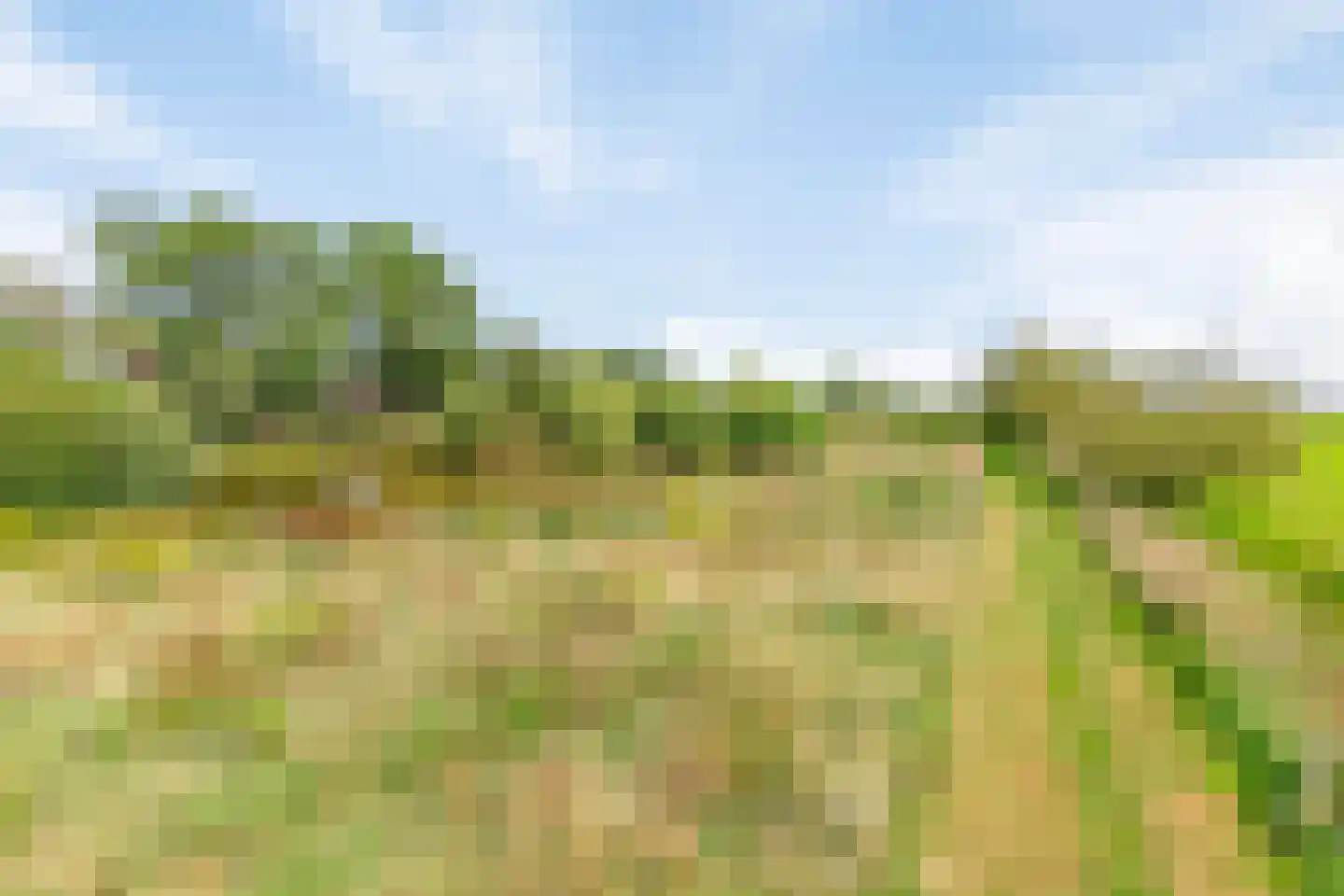 Riegshoogtendijk 176 Hollandscheveld thumbnail 70