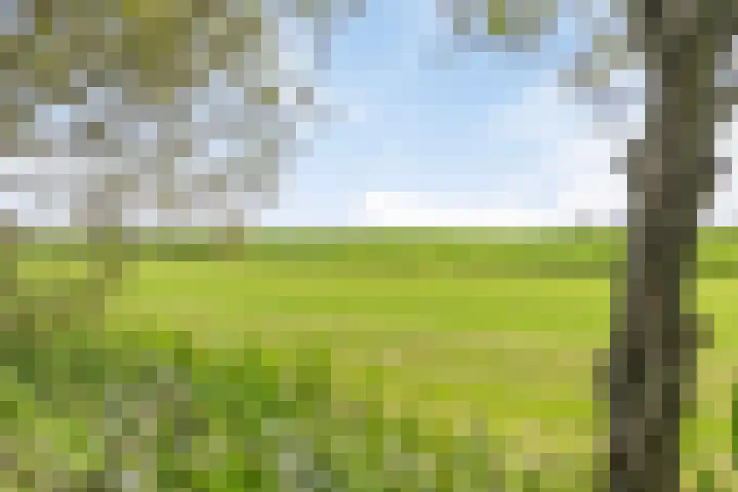 Riegshoogtendijk 176 Hollandscheveld thumbnail 72