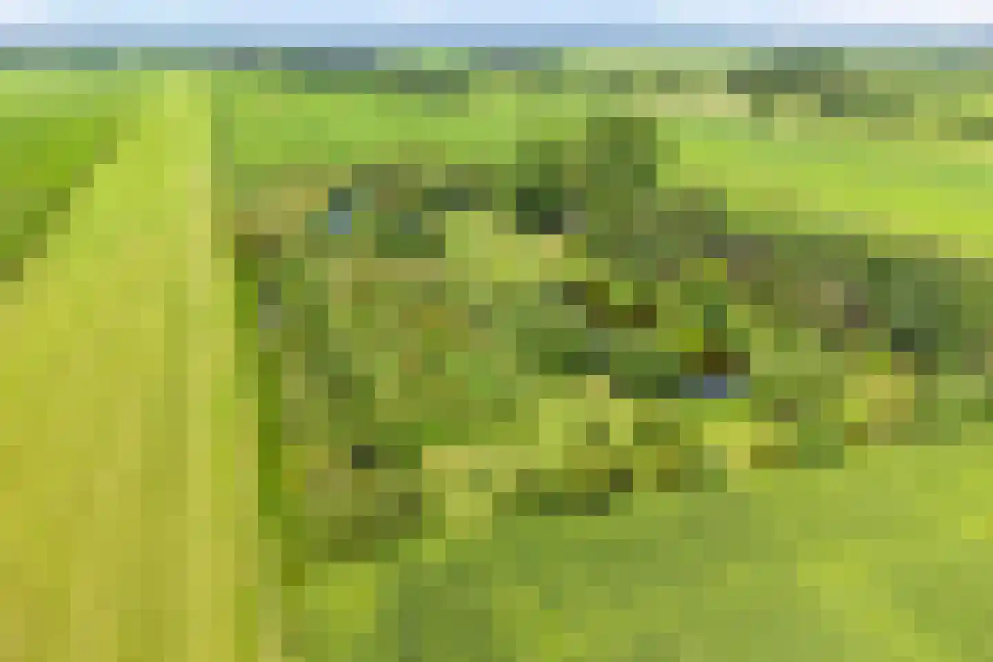 Riegshoogtendijk 176 Hollandscheveld thumbnail 74