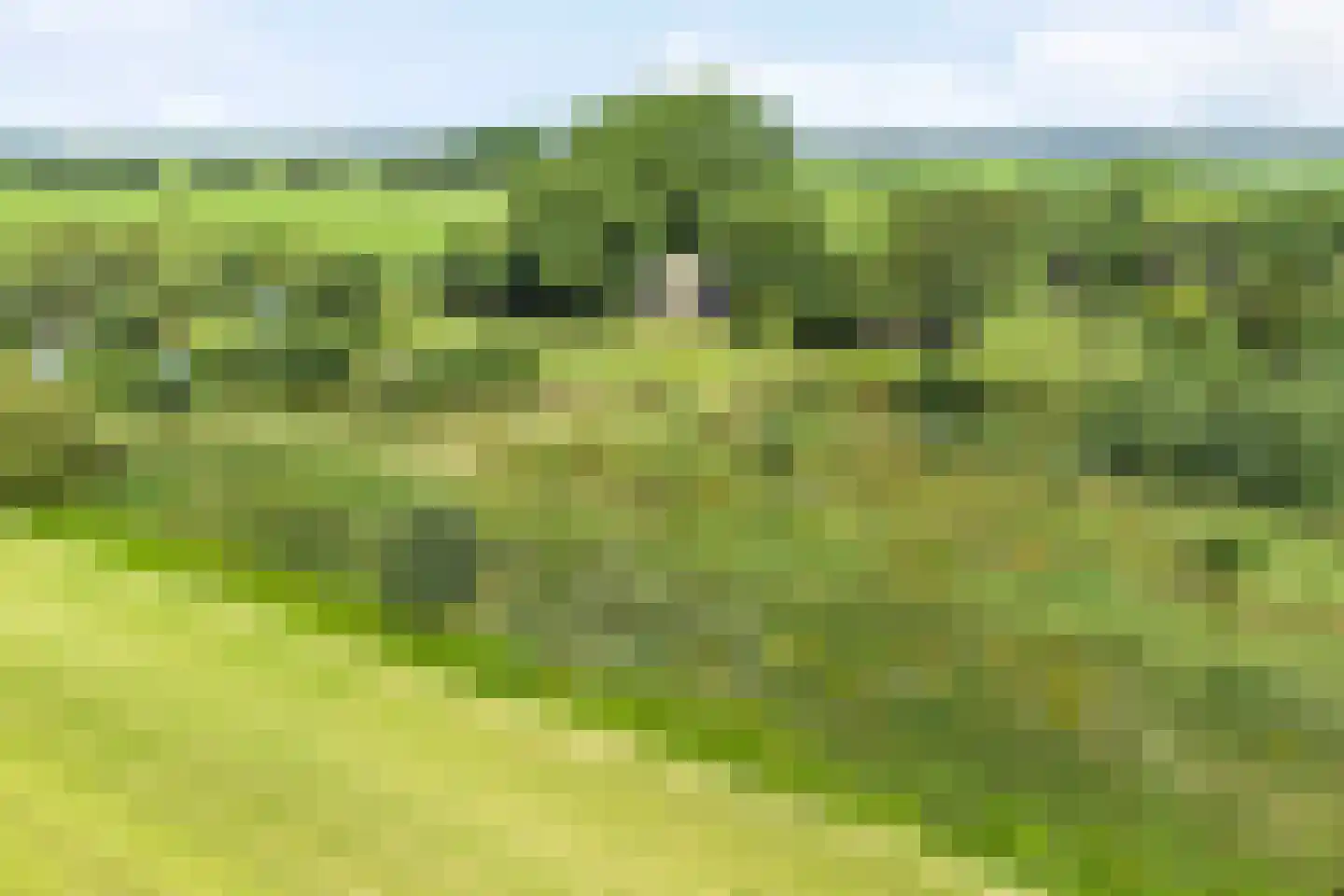 Riegshoogtendijk 176 Hollandscheveld thumbnail 75