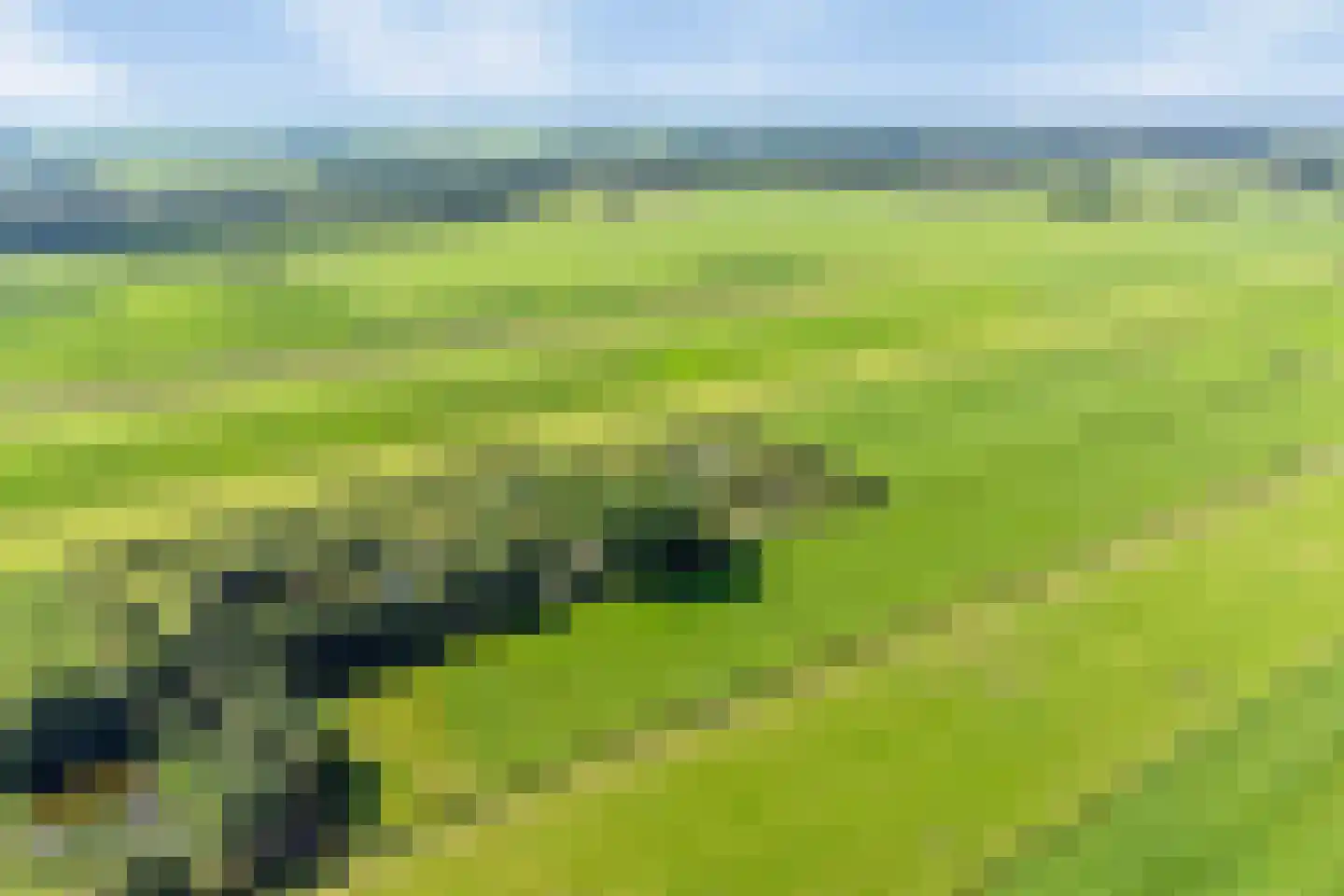 Riegshoogtendijk 176 Hollandscheveld thumbnail 76