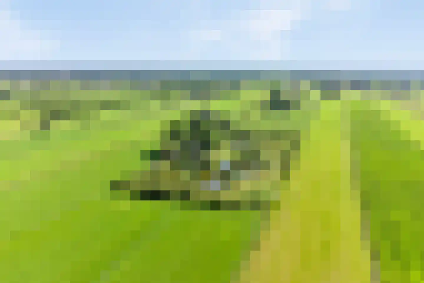 Riegshoogtendijk 176 Hollandscheveld thumbnail 8