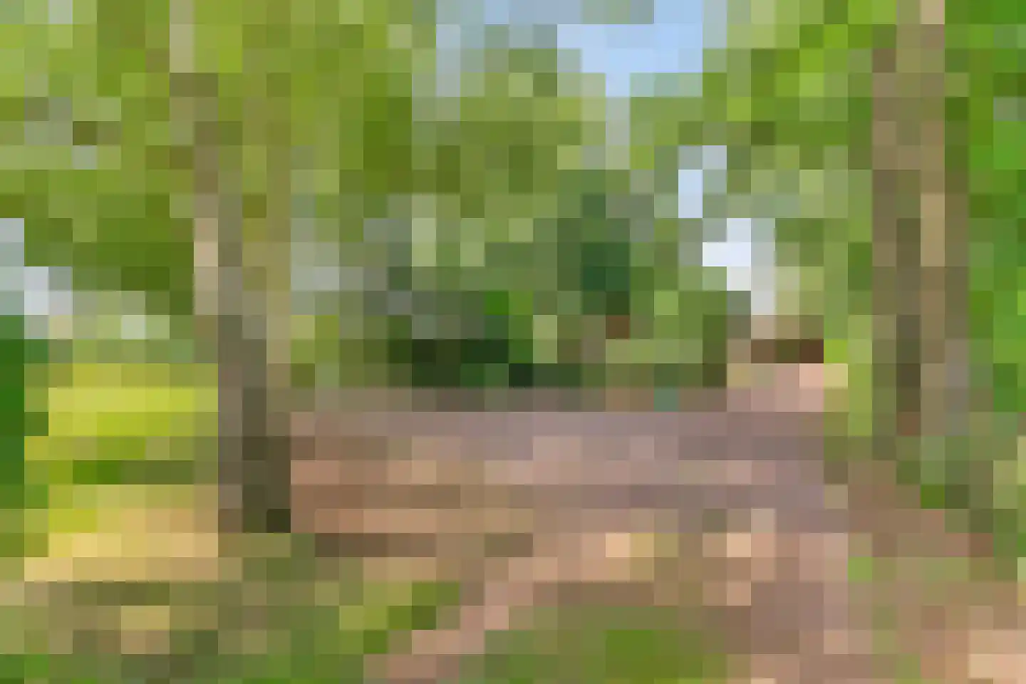 Riegshoogtendijk 176 Hollandscheveld thumbnail 9