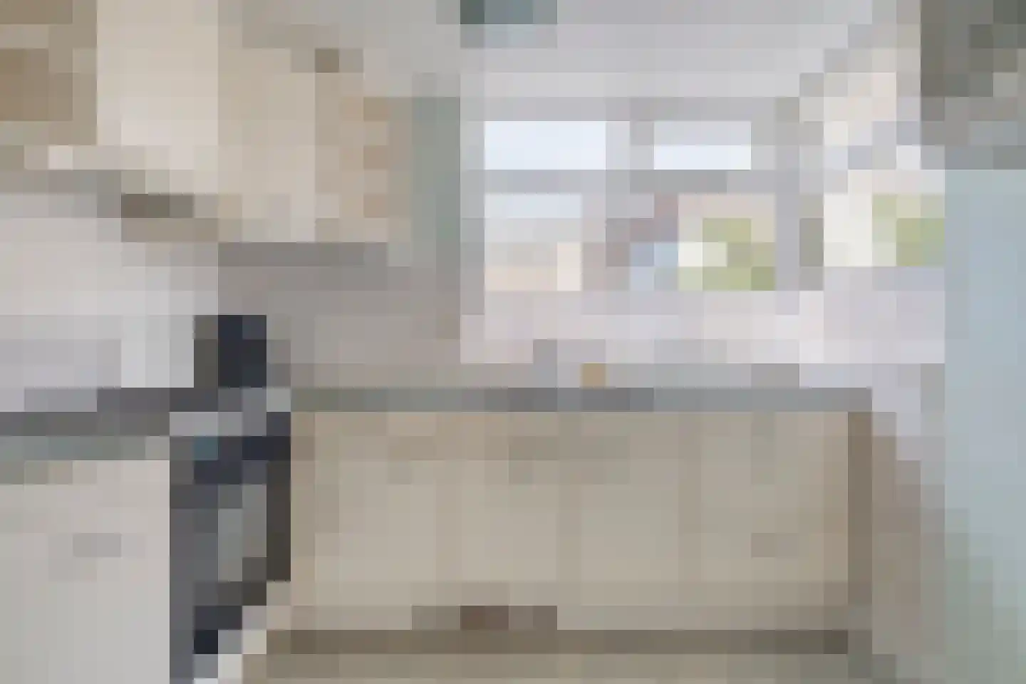 Riegshoogtendijk 32 Hollandscheveld thumbnail 11