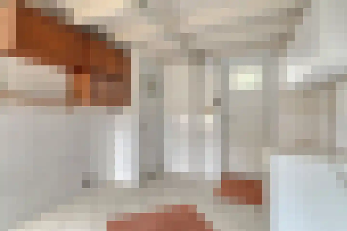 Riegshoogtendijk 32 Hollandscheveld thumbnail 14