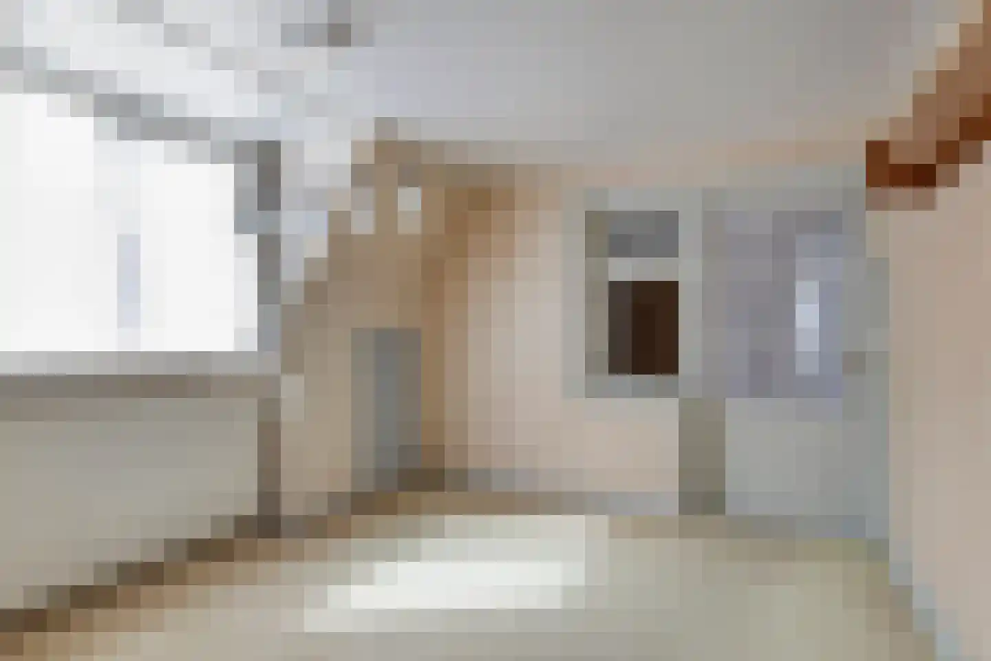 Riegshoogtendijk 32 Hollandscheveld thumbnail 24
