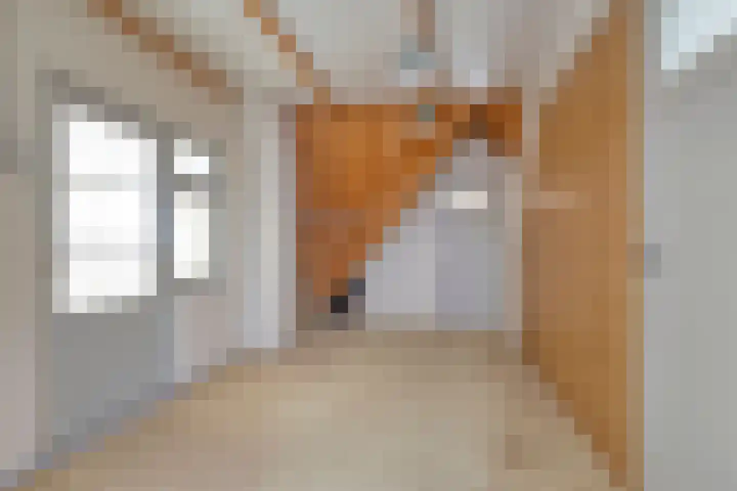 Riegshoogtendijk 32 Hollandscheveld thumbnail 26