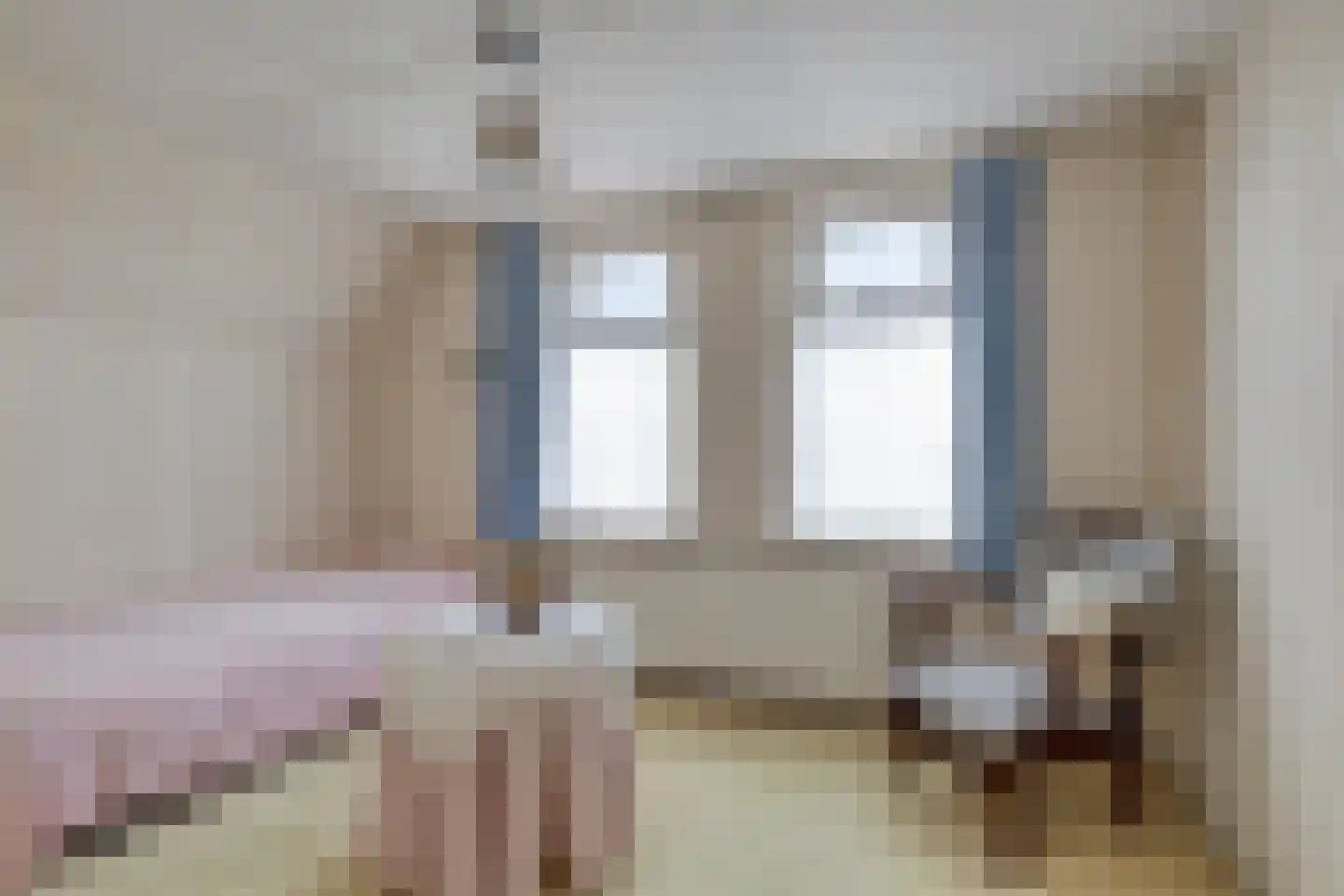 Riegshoogtendijk 32 Hollandscheveld thumbnail 28