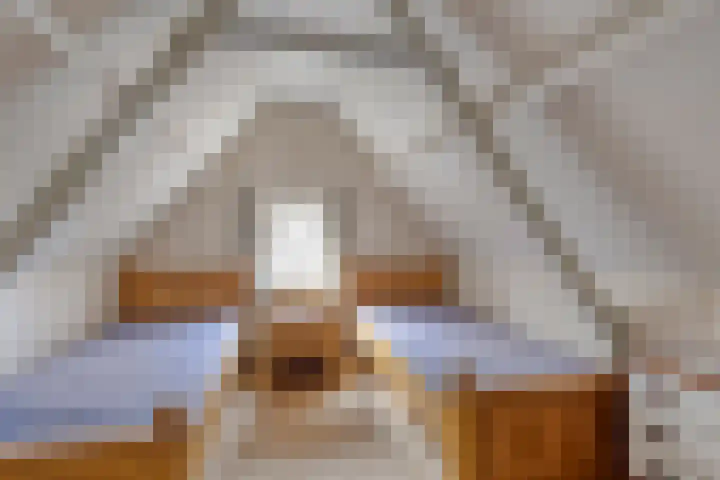 Riegshoogtendijk 32 Hollandscheveld thumbnail 30