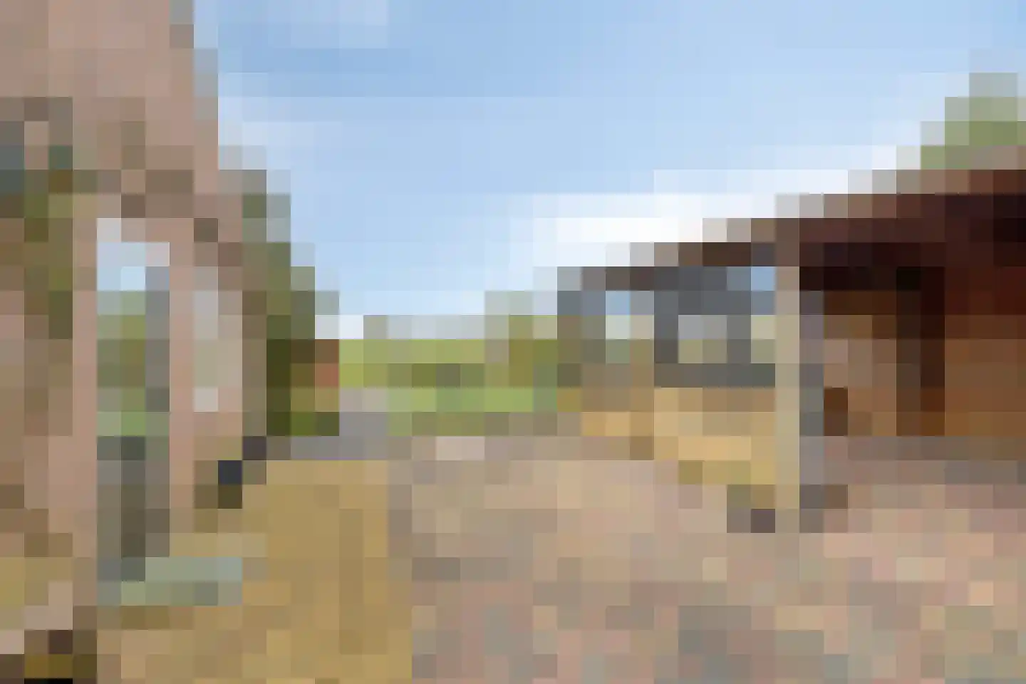 Riegshoogtendijk 32 Hollandscheveld thumbnail 31