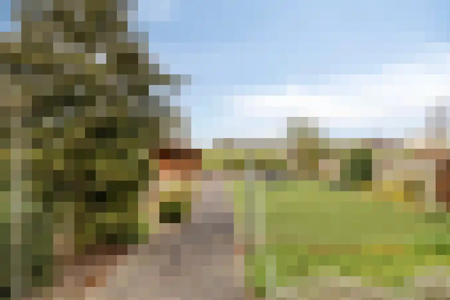 Riegshoogtendijk 32 Hollandscheveld thumbnail 32
