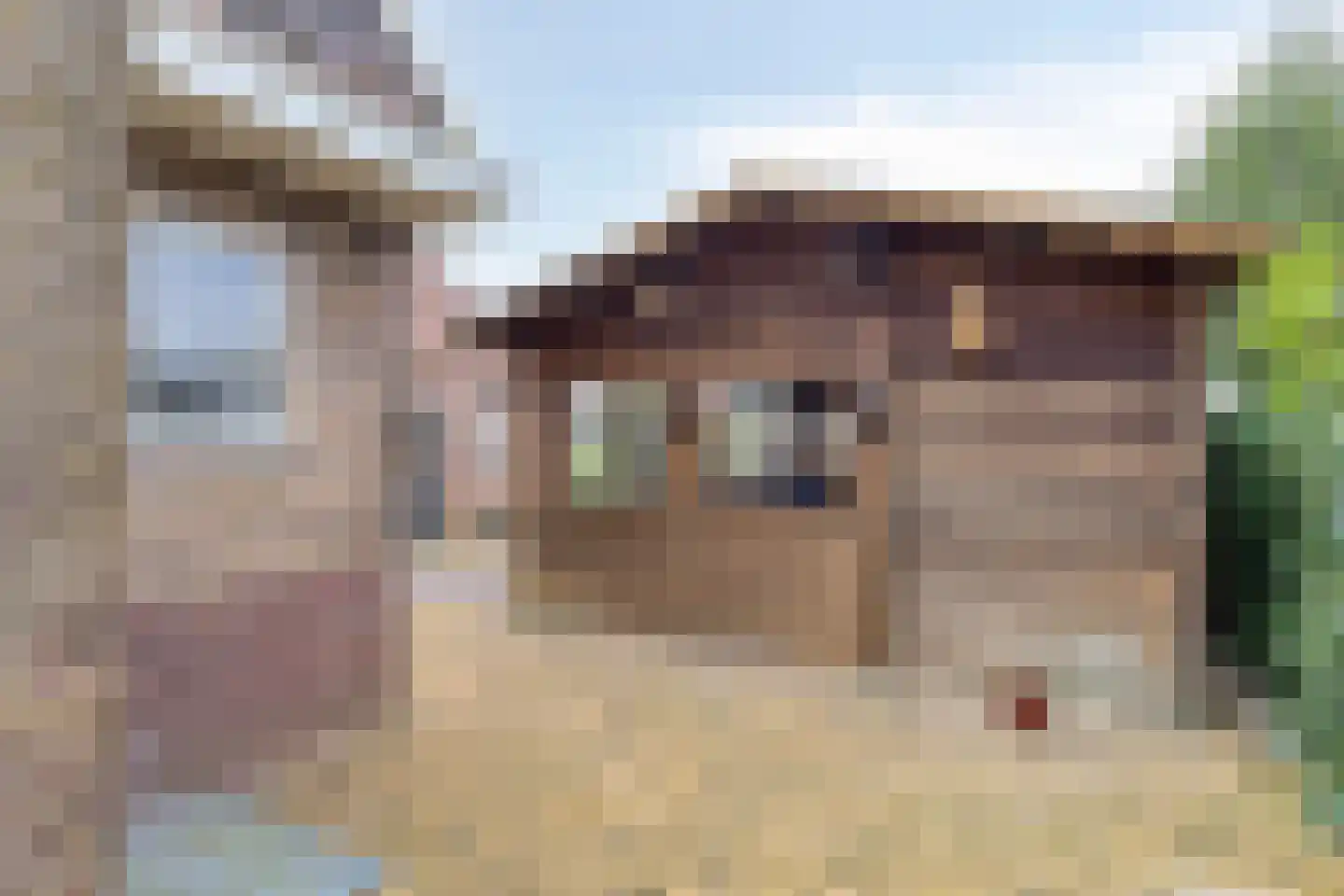 Riegshoogtendijk 32 Hollandscheveld thumbnail 33