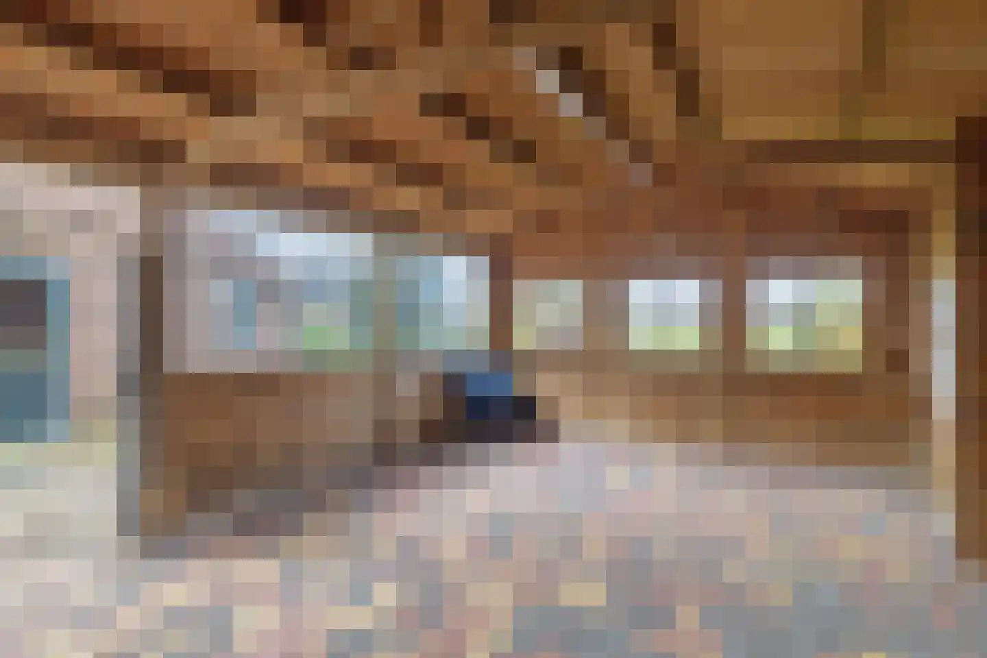 Riegshoogtendijk 32 Hollandscheveld thumbnail 35