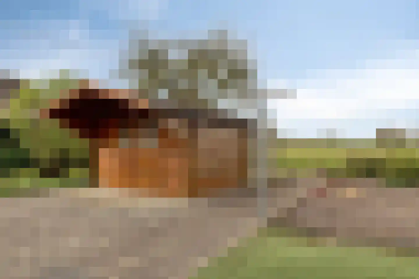 Riegshoogtendijk 32 Hollandscheveld thumbnail 38