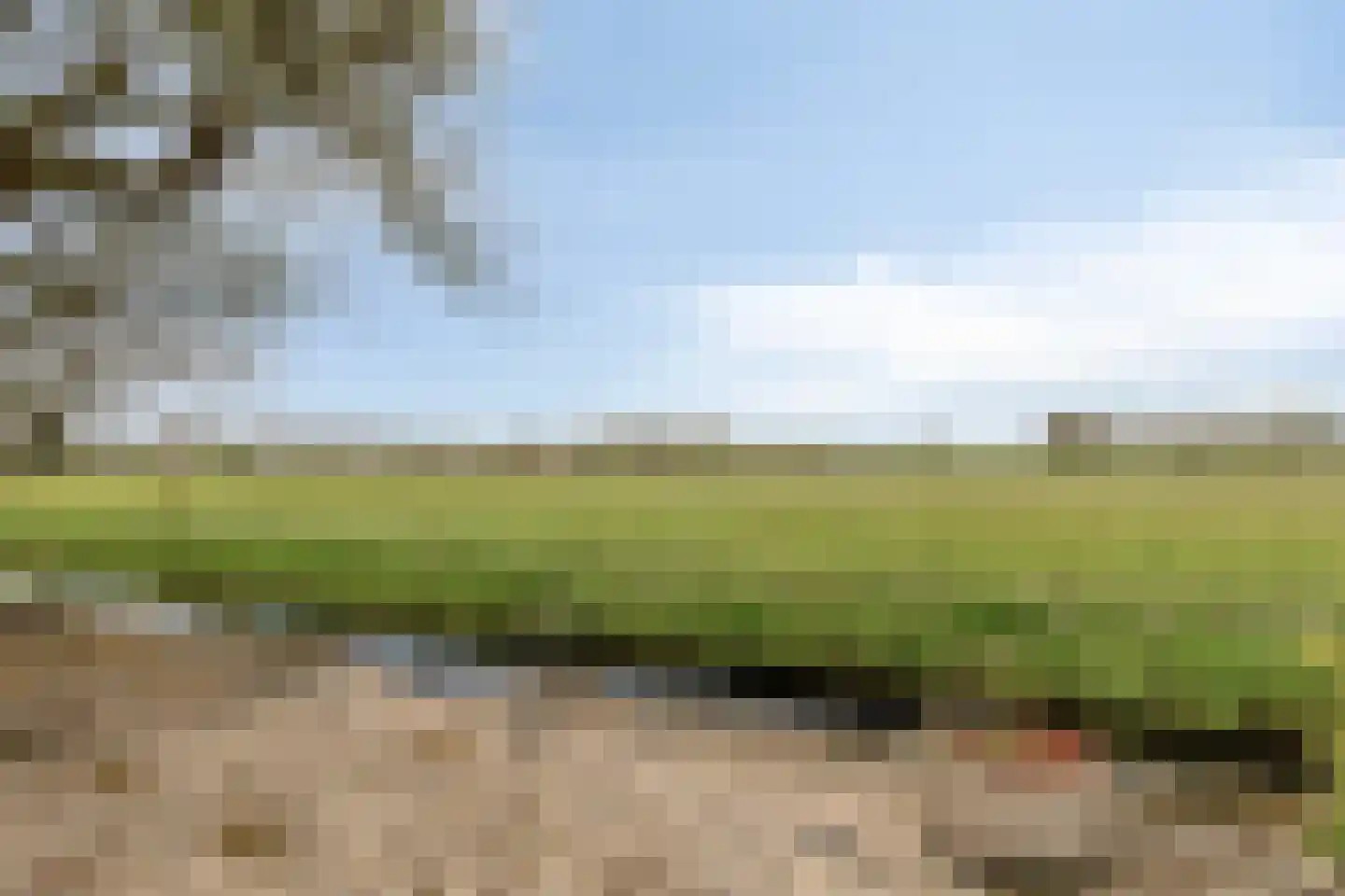 Riegshoogtendijk 32 Hollandscheveld thumbnail 39