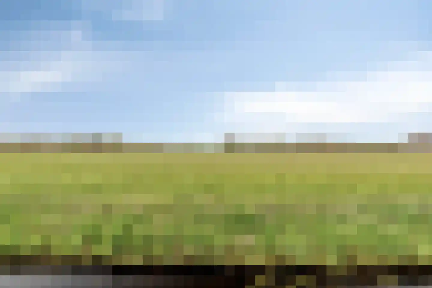 Riegshoogtendijk 32 Hollandscheveld thumbnail 40