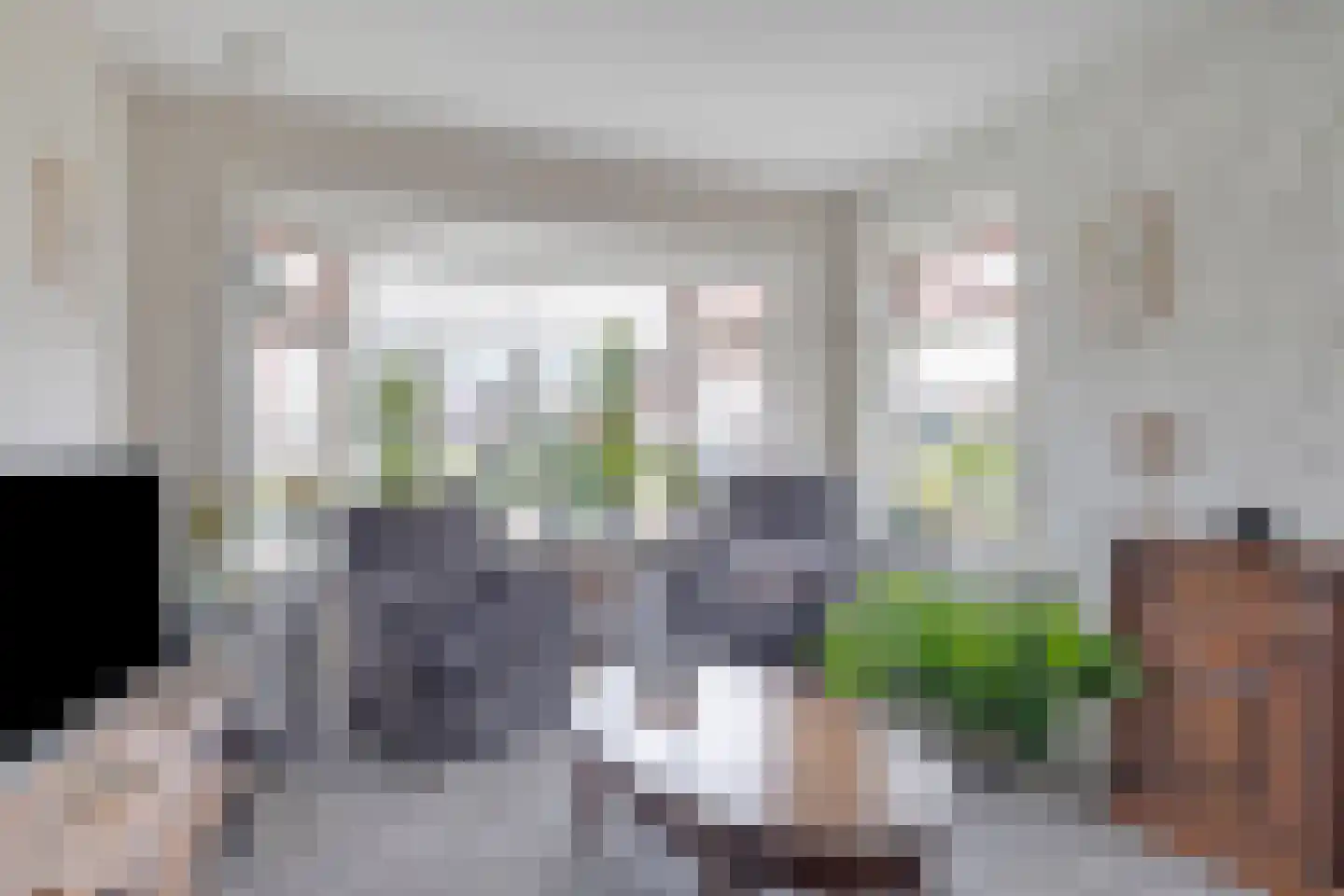 Riegshoogtendijk 32 Hollandscheveld thumbnail 5
