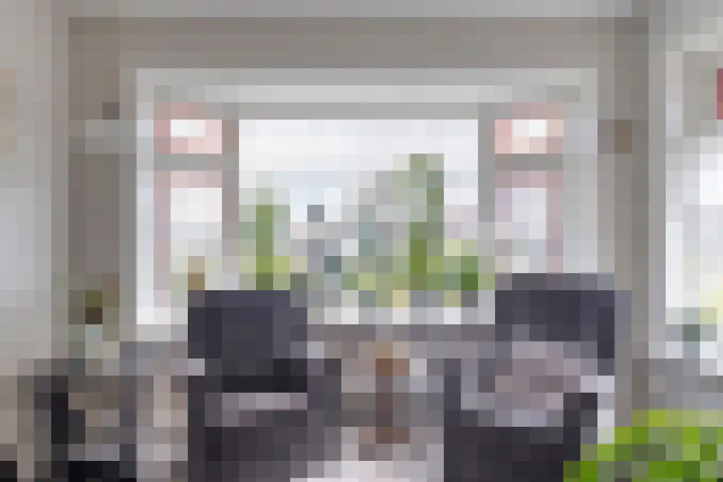 Riegshoogtendijk 32 Hollandscheveld thumbnail 6