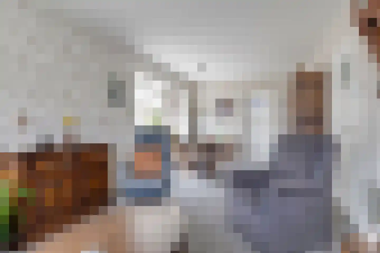 Riegshoogtendijk 32 Hollandscheveld thumbnail 7