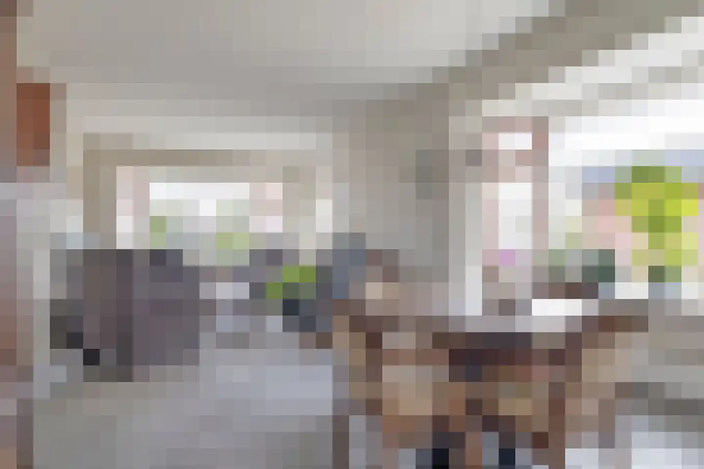 Riegshoogtendijk 32 Hollandscheveld thumbnail 9