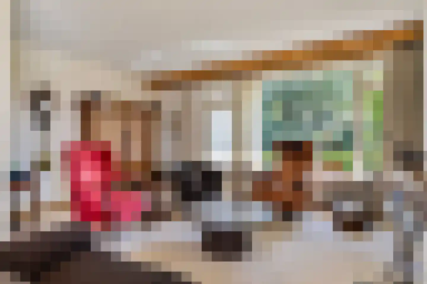 Riegshoogtendijk 57 Hollandscheveld thumbnail 11