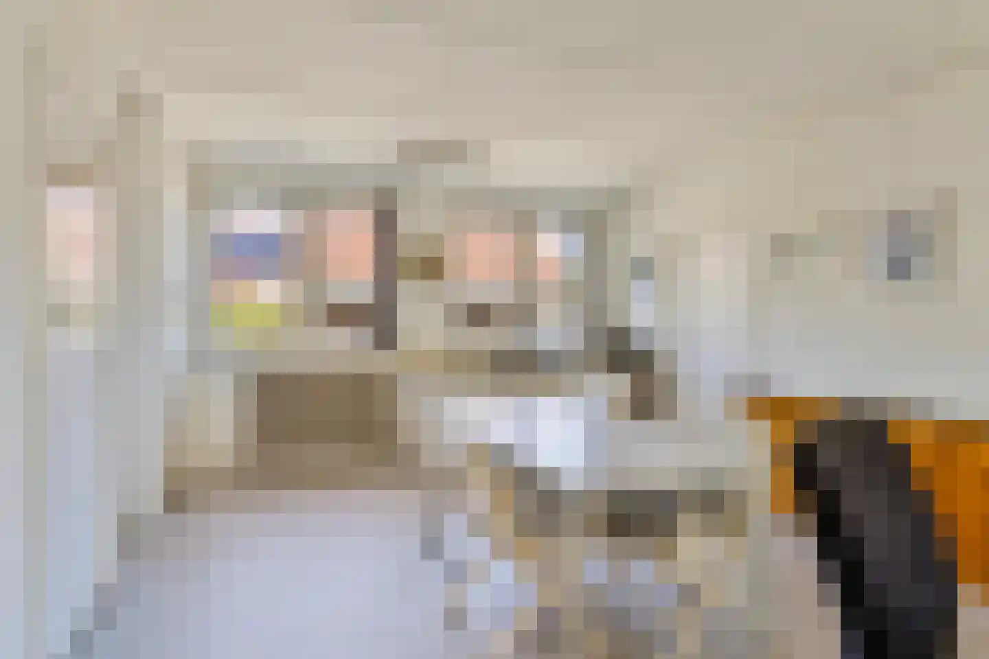 Riegshoogtendijk 57 Hollandscheveld thumbnail 17