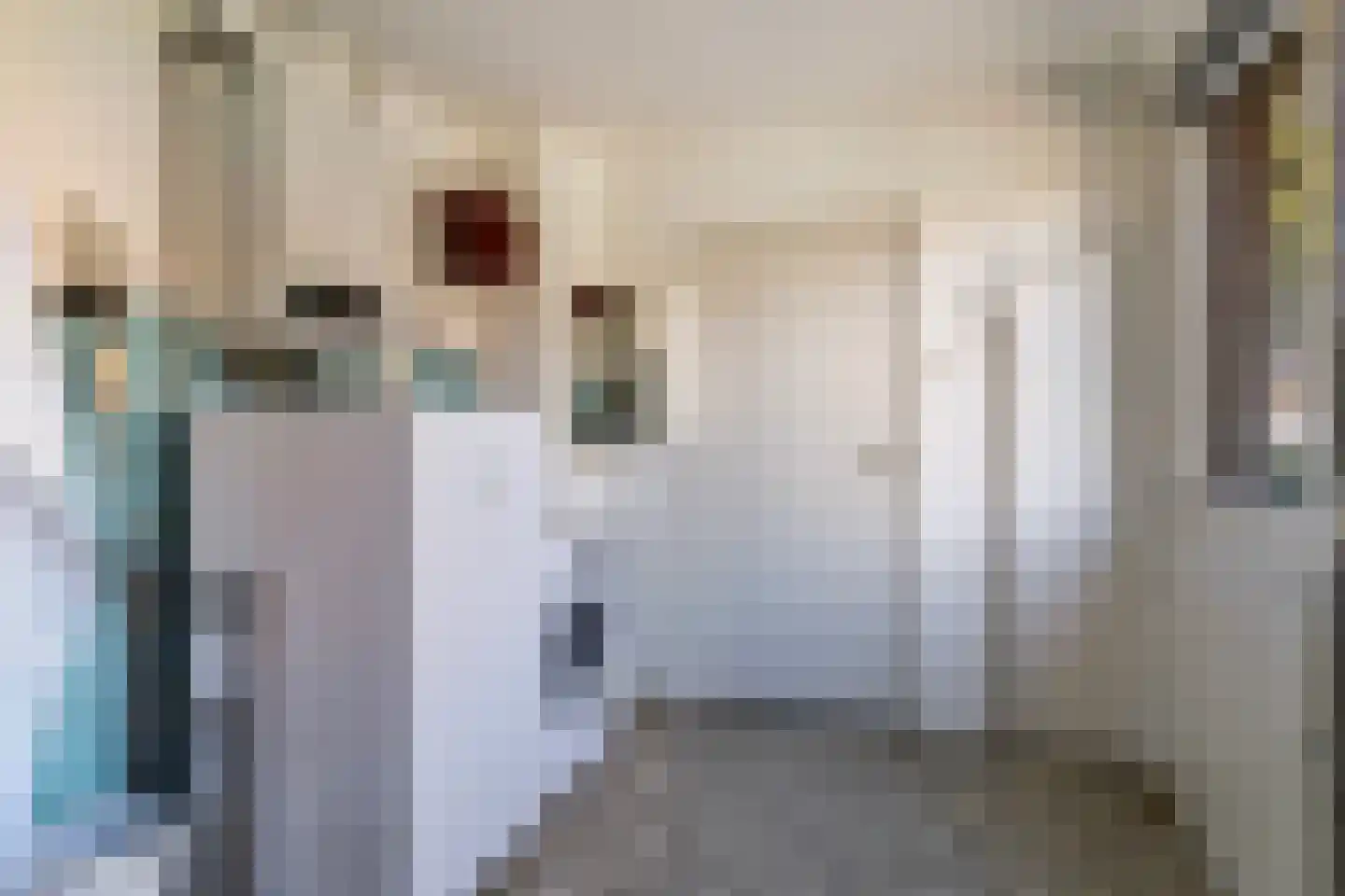 Riegshoogtendijk 57 Hollandscheveld thumbnail 19