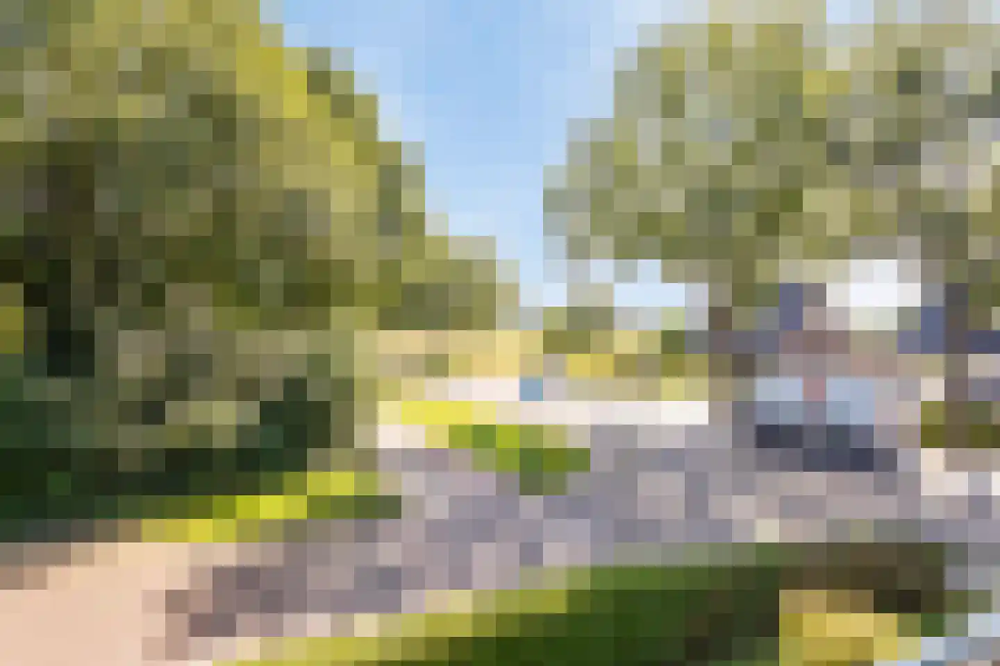 Riegshoogtendijk 57 Hollandscheveld thumbnail 30