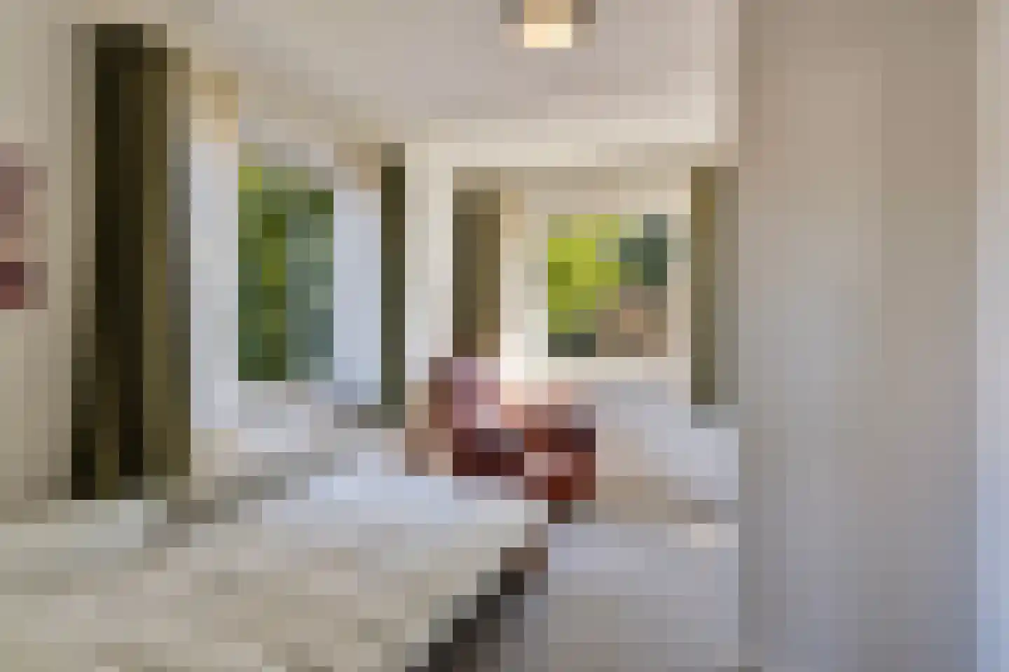 Riegshoogtendijk 57 Hollandscheveld thumbnail 31