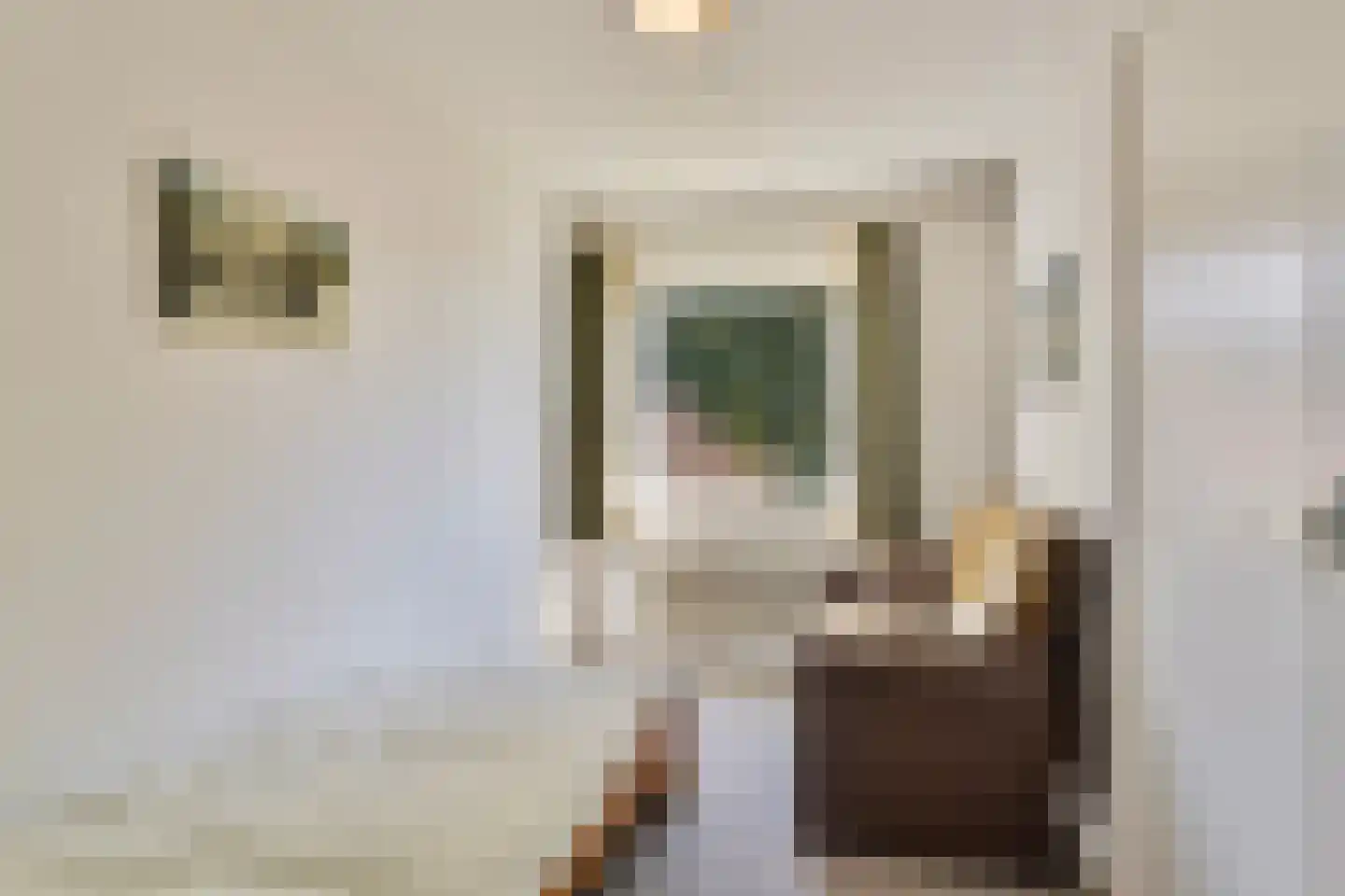 Riegshoogtendijk 57 Hollandscheveld thumbnail 32