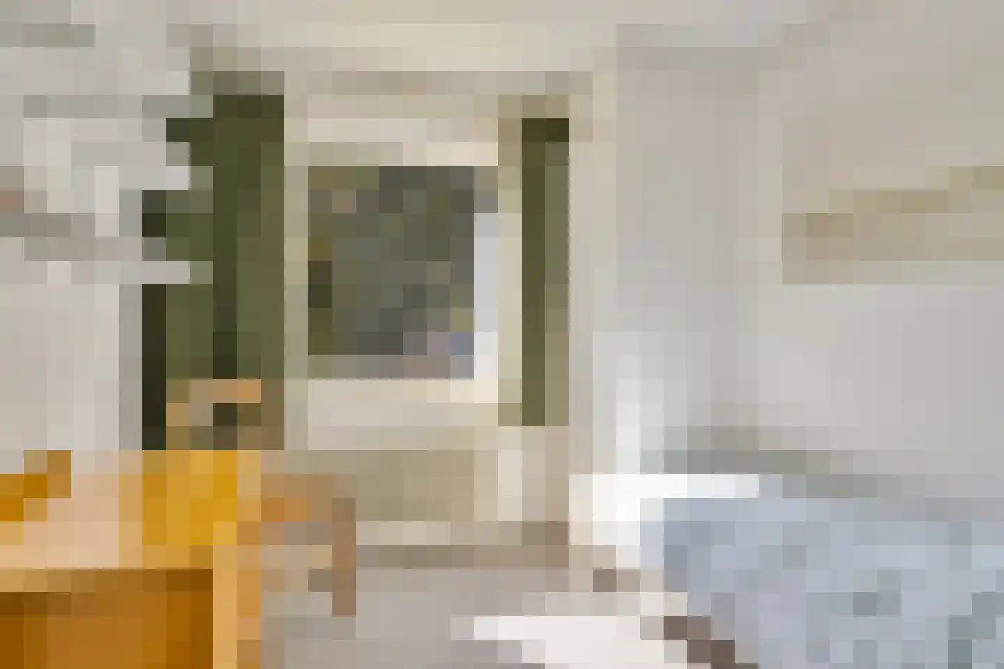 Riegshoogtendijk 57 Hollandscheveld thumbnail 33
