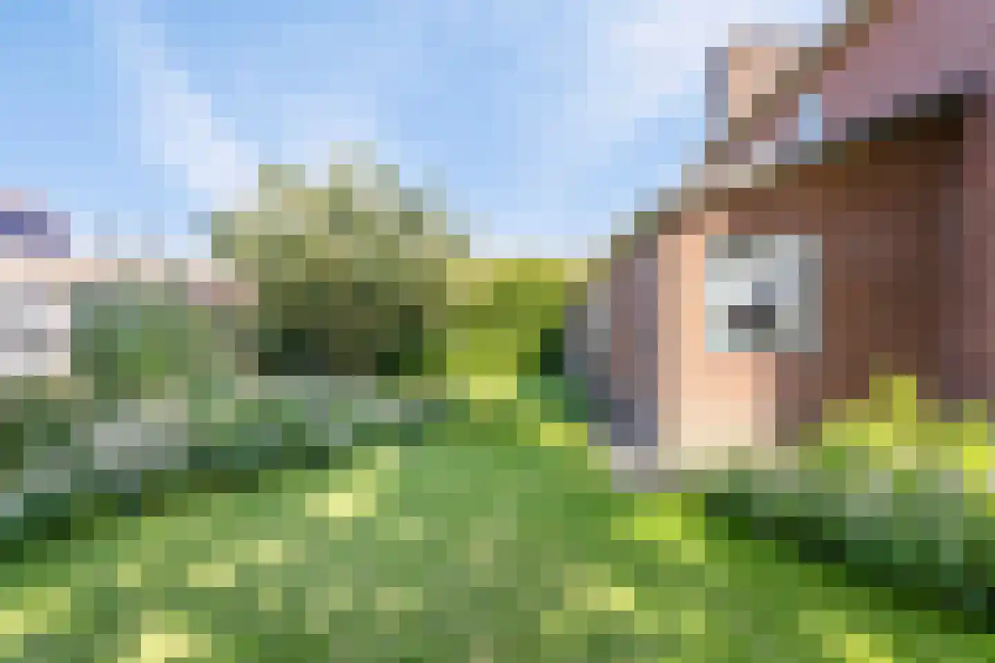 Riegshoogtendijk 57 Hollandscheveld thumbnail 35