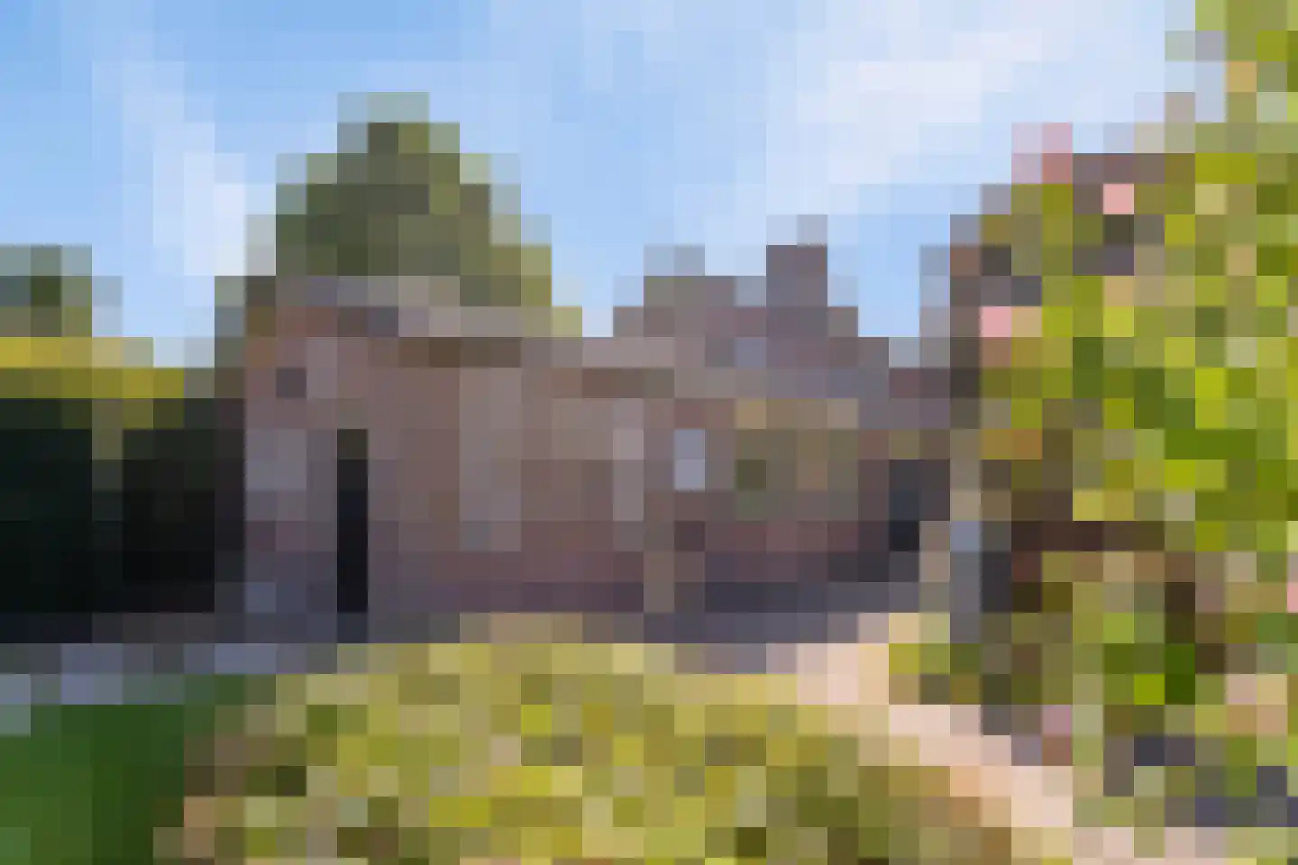 Riegshoogtendijk 57 Hollandscheveld thumbnail 36